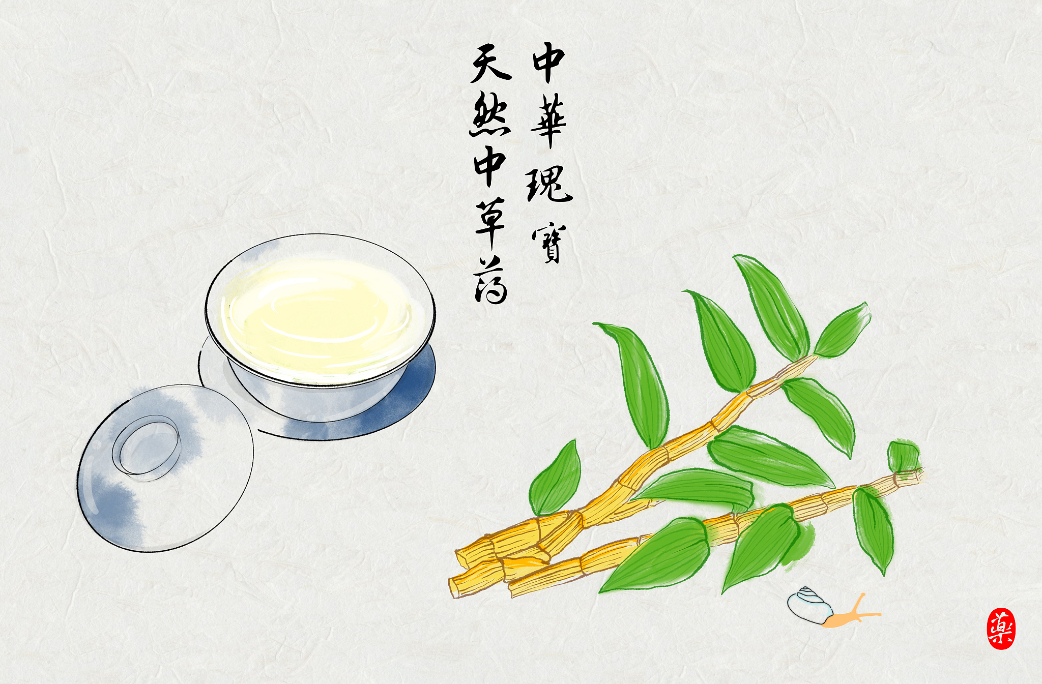 手绘水彩画中草药铁皮石斛养生茶