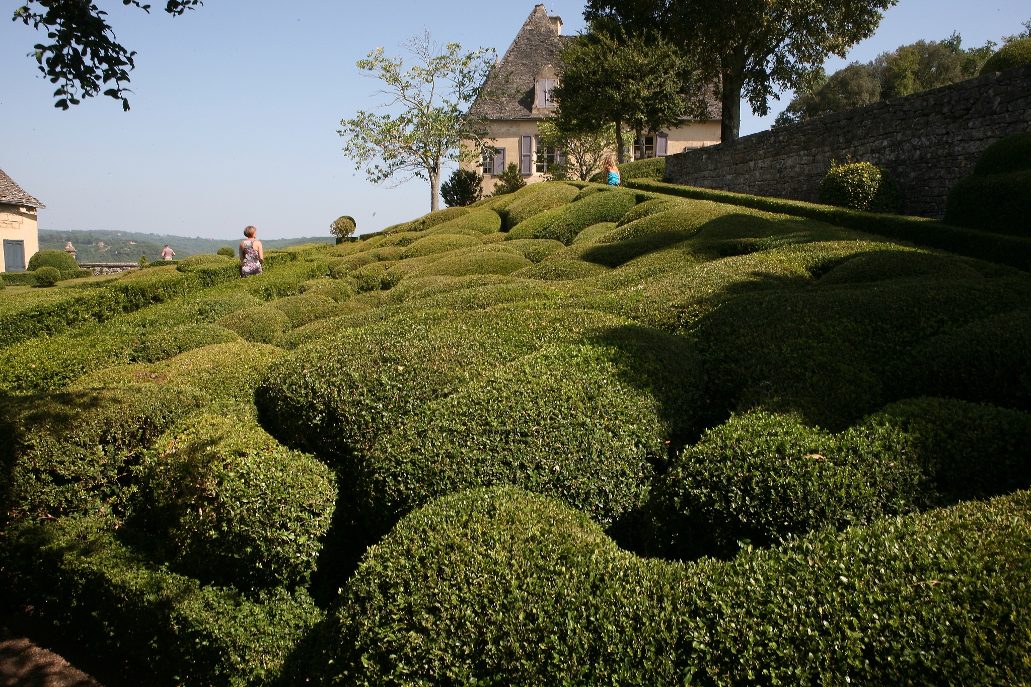 园林技术学习哪些课程
