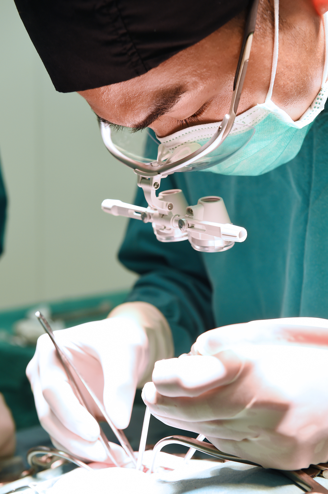veterinarian surgeons