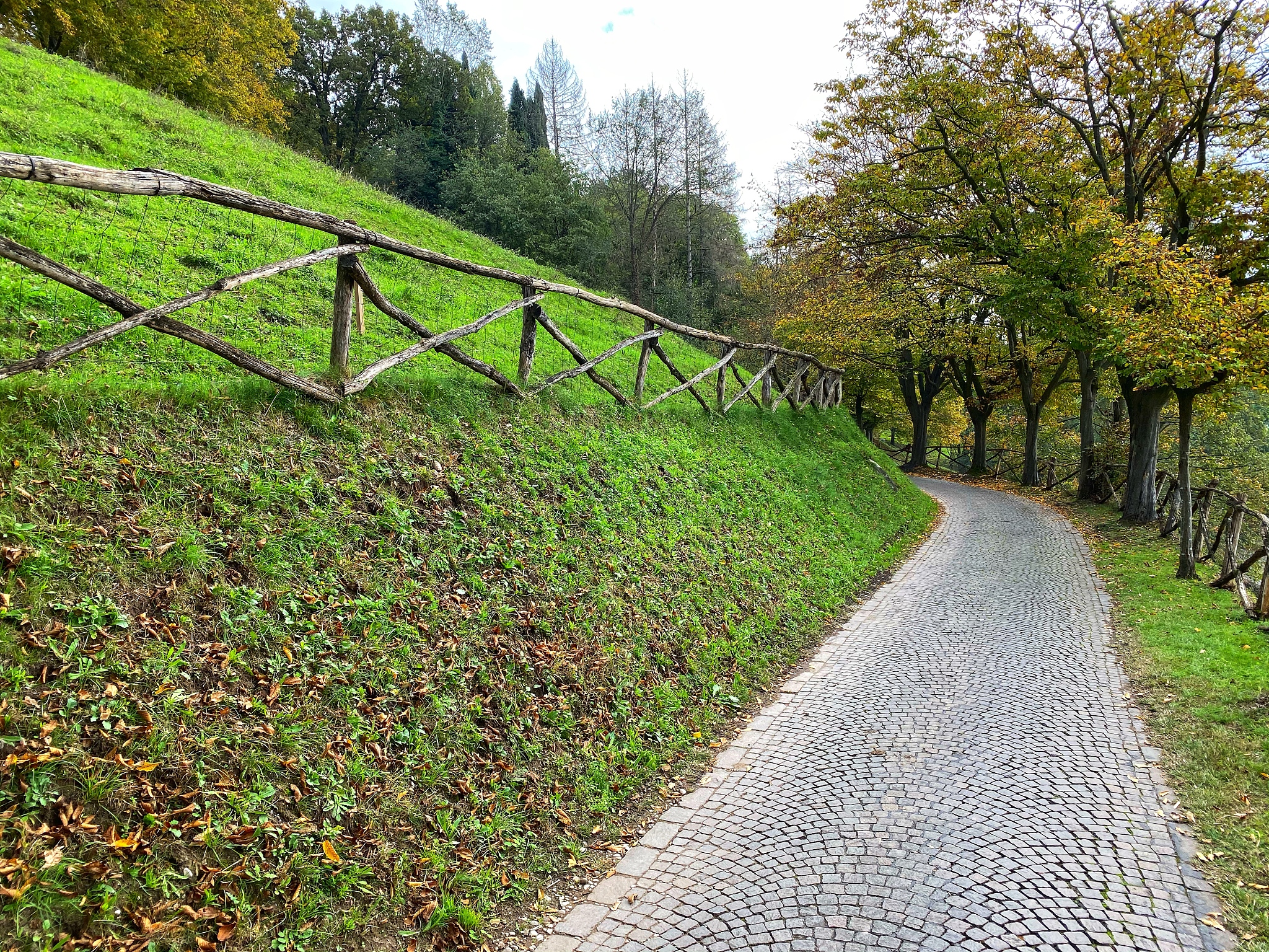 甘肃林业职业技术学院园林技术专业可以选择哪些就业方向
