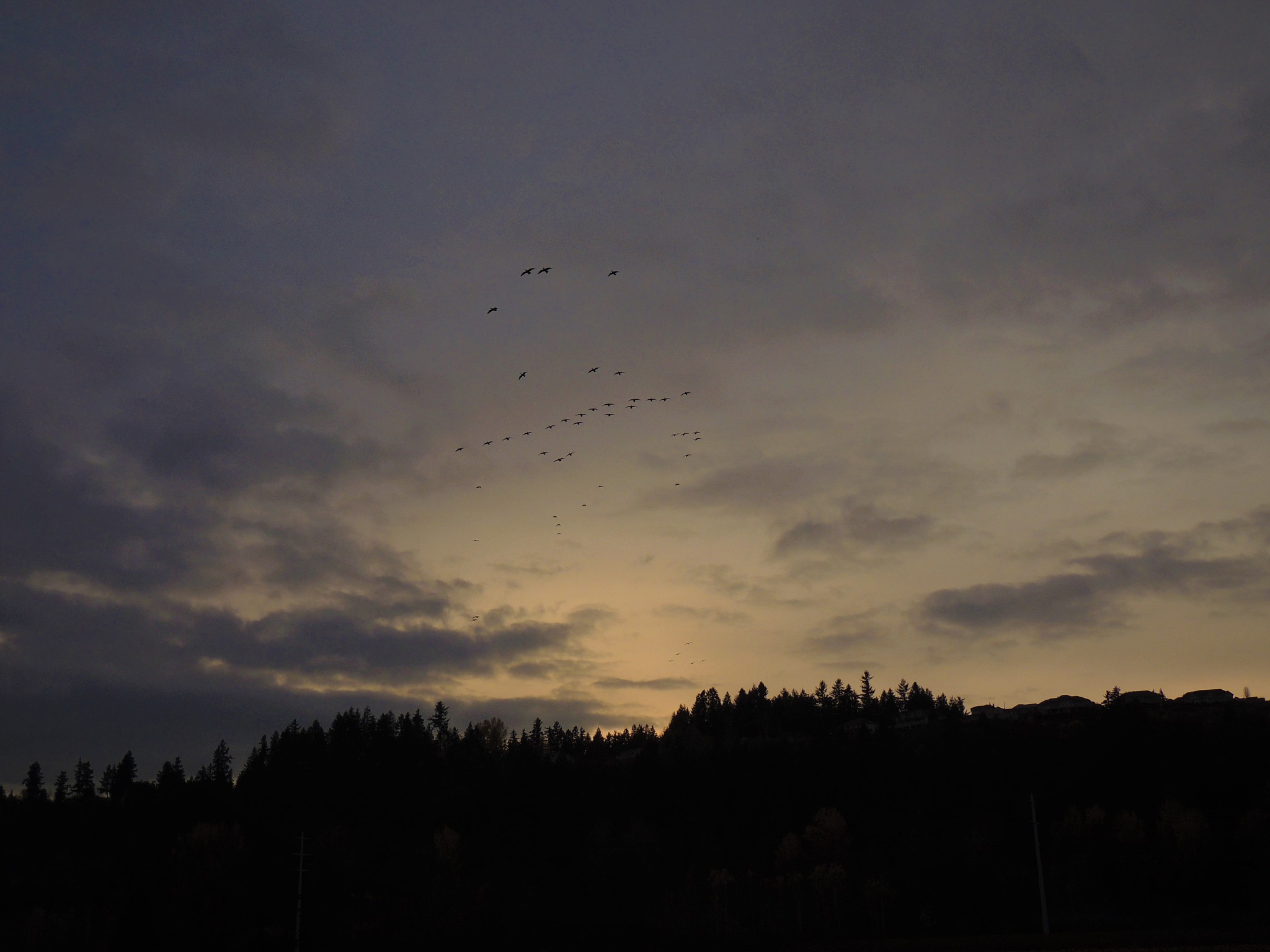 环境艺术设计专业就业前景