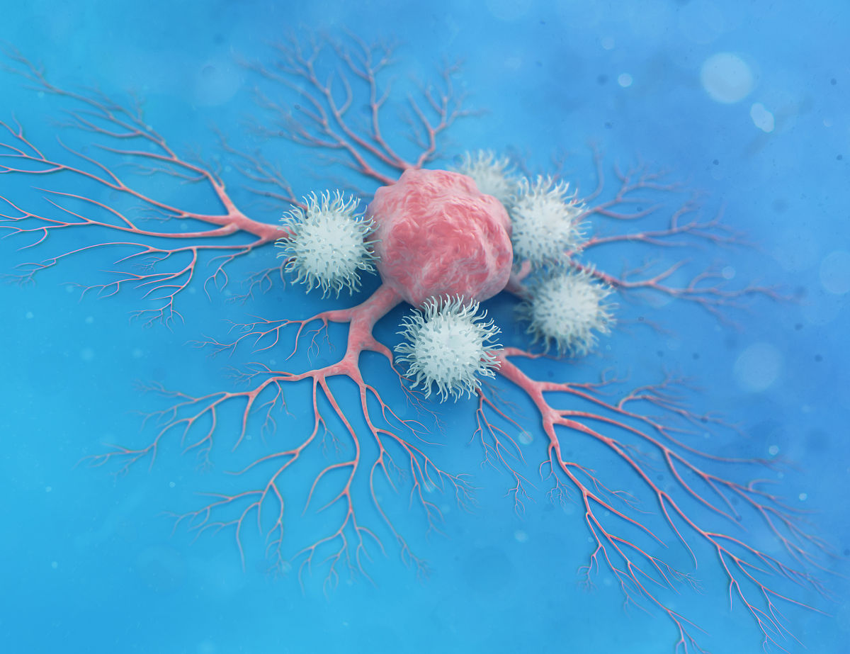 同一个浓度同一个时间下药物一会儿对细胞有防护作用一会儿又有杀伤作用。什么原因呢？