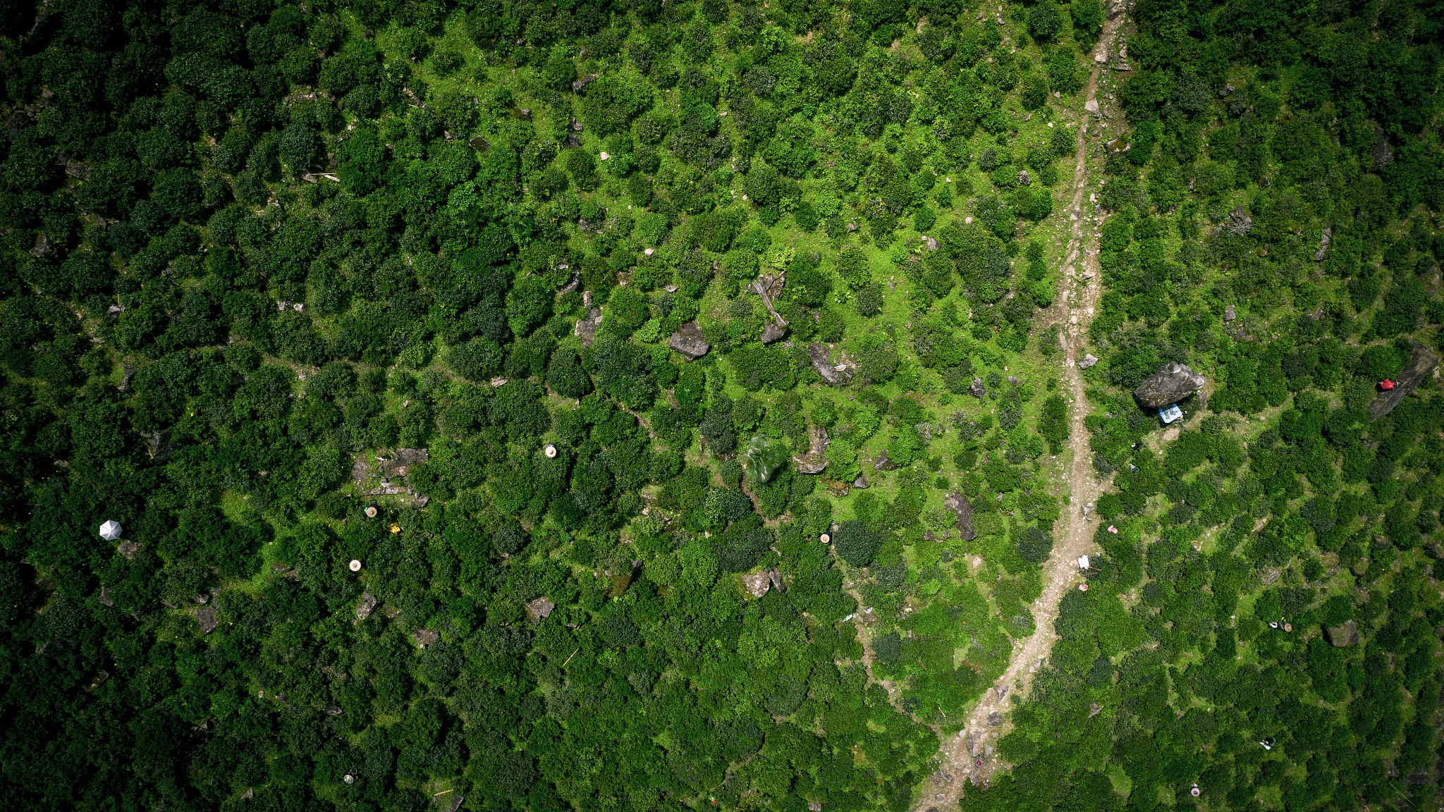 写一段武夷山市茶旅产品调查问卷引导语