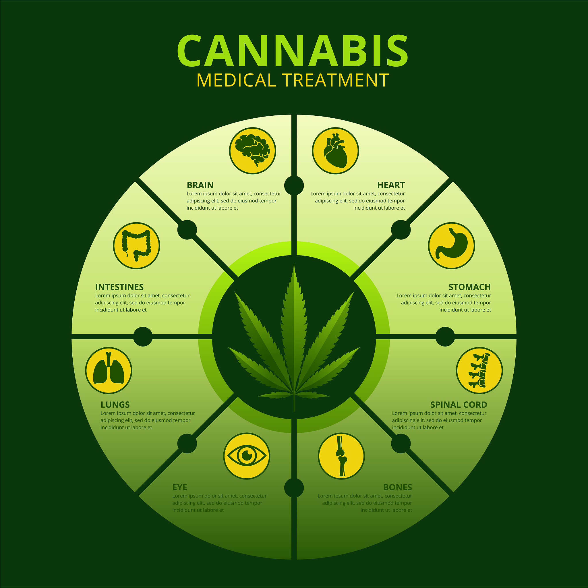 甘油和脂肪酸在人体内的重要作用及利用方式