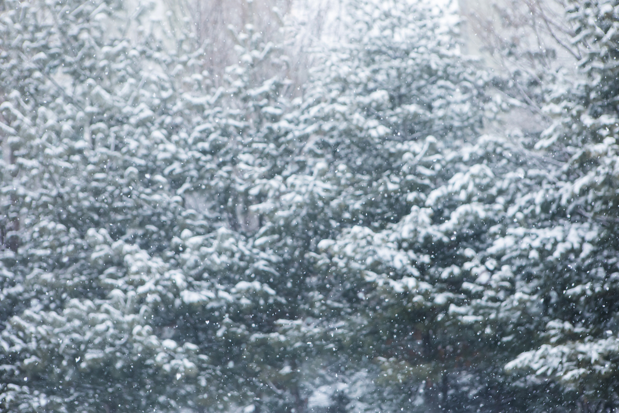 请描写一下阴天快要下雪的感觉
