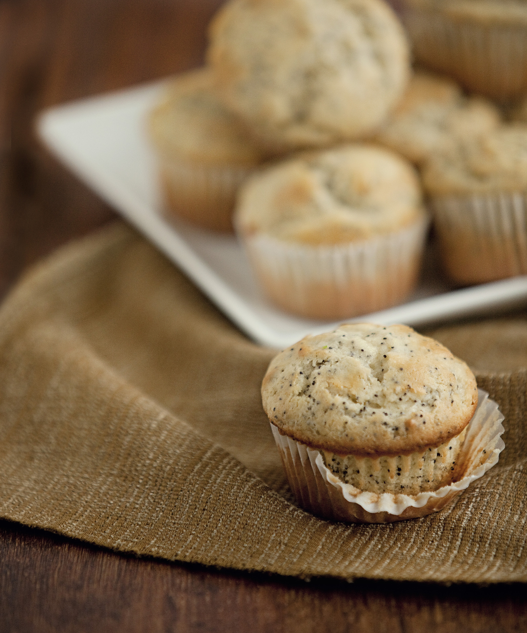 深圳职业技术学院食品生物技术专业怎么样？热门专业值得报考吗？