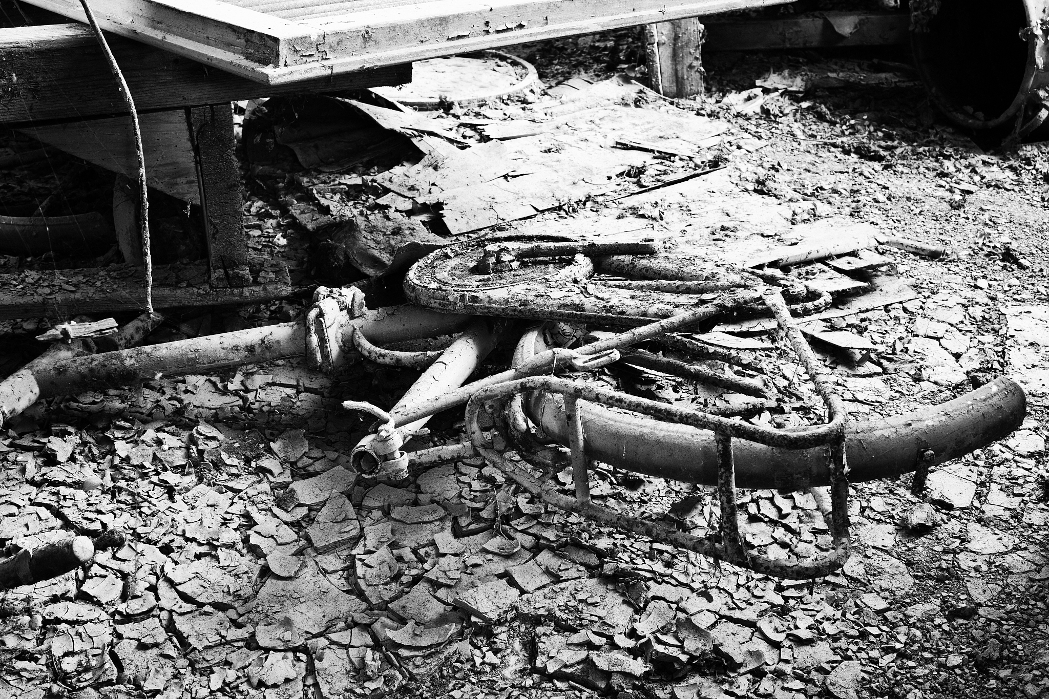 abandoned bicycle. black and white