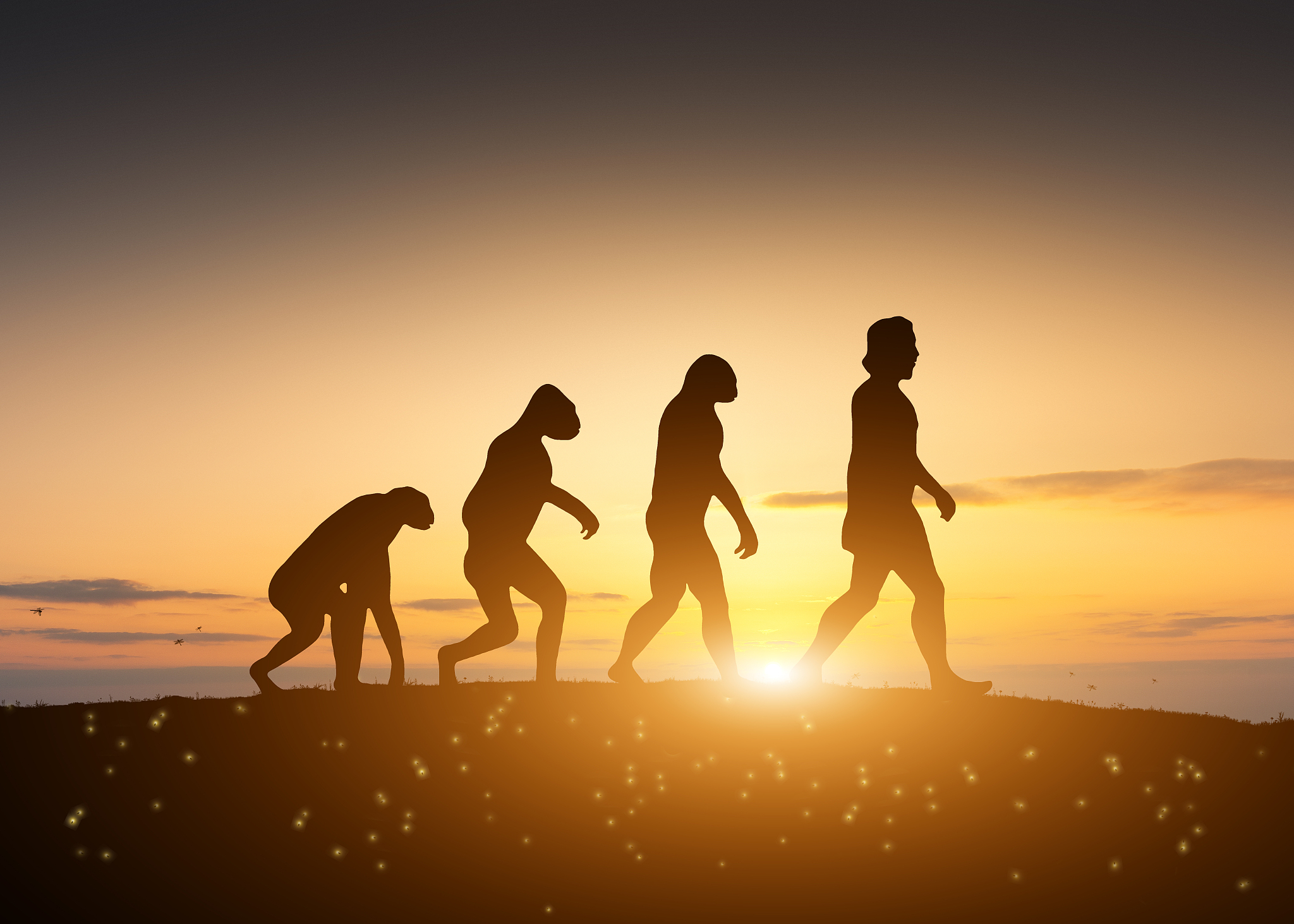 为什么几千年了人没有进化