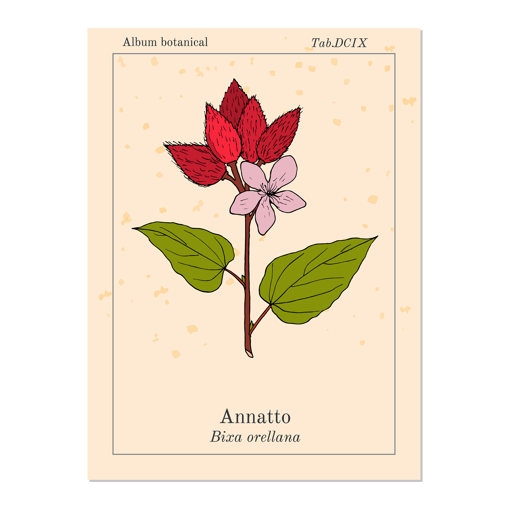 口红不能含哪些成分