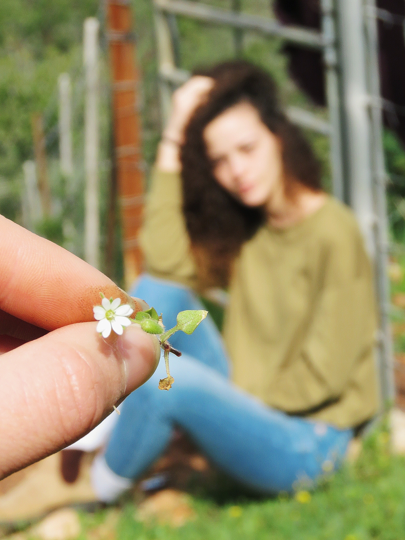 翁美玲：从寄人篱下到华裔小姐亚军