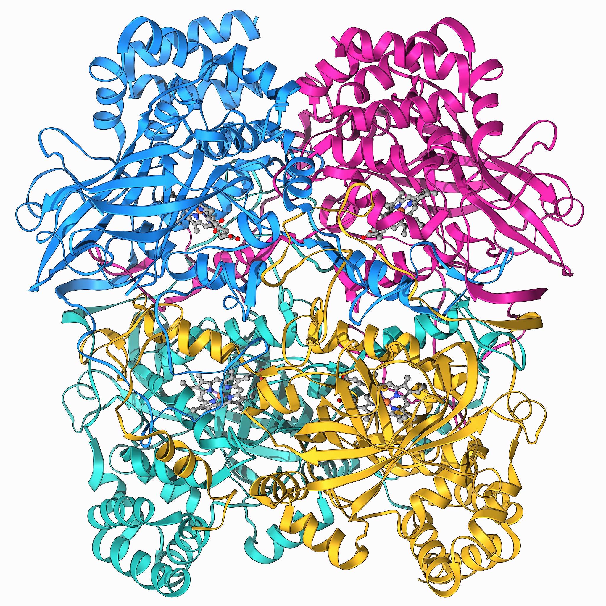 klk8与klk10有什么区别