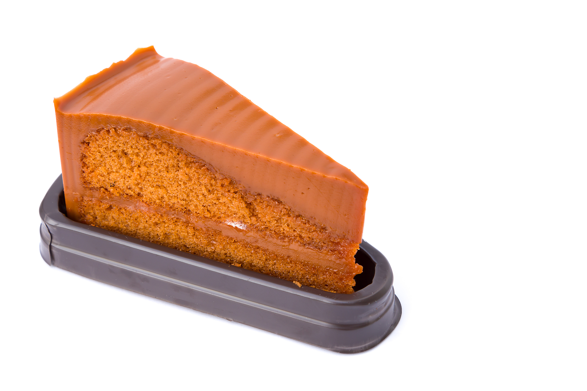 Mold Found in Cargo Pile: Evidence and Description