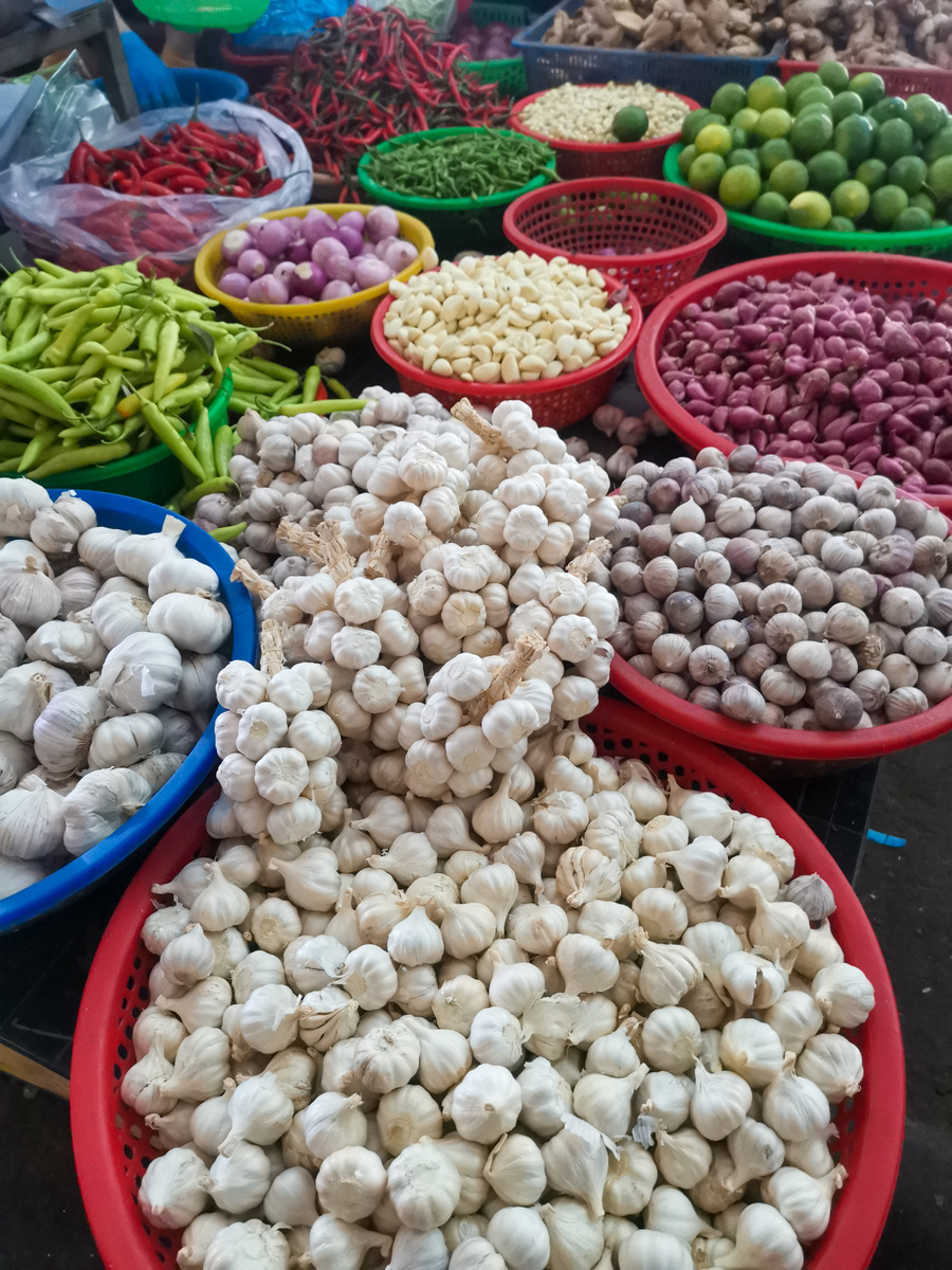 宁夏双孢菇销售市场全解析：哪里销路最好？