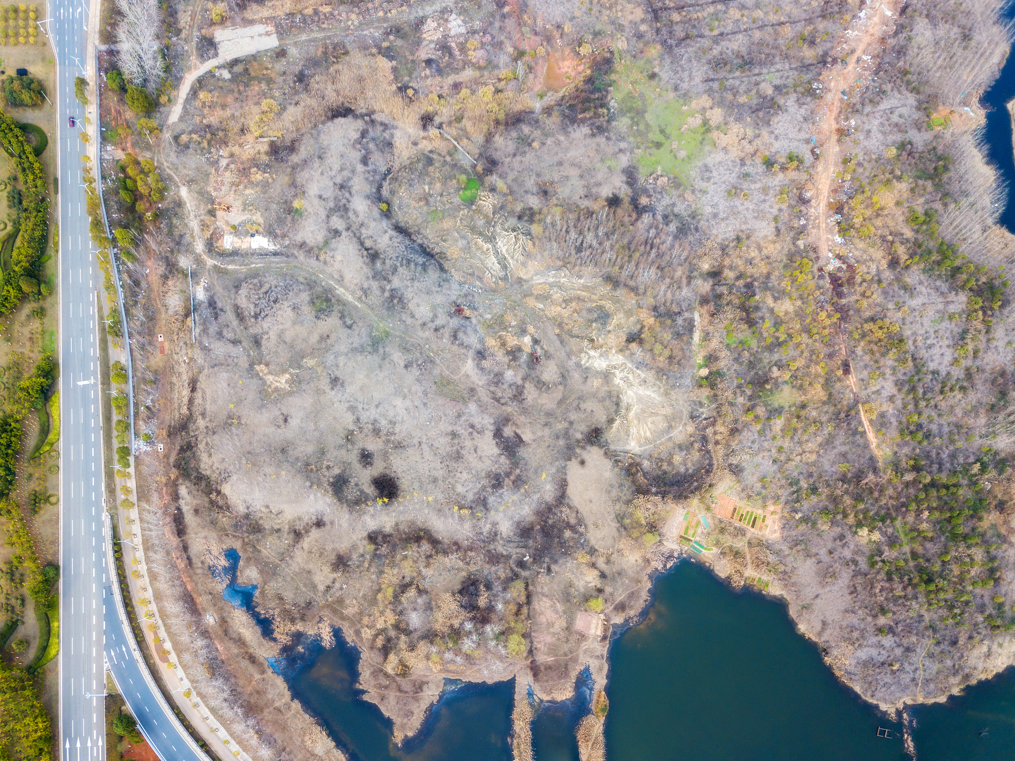 生态保护与监测：遥感技术之外的多学科融合