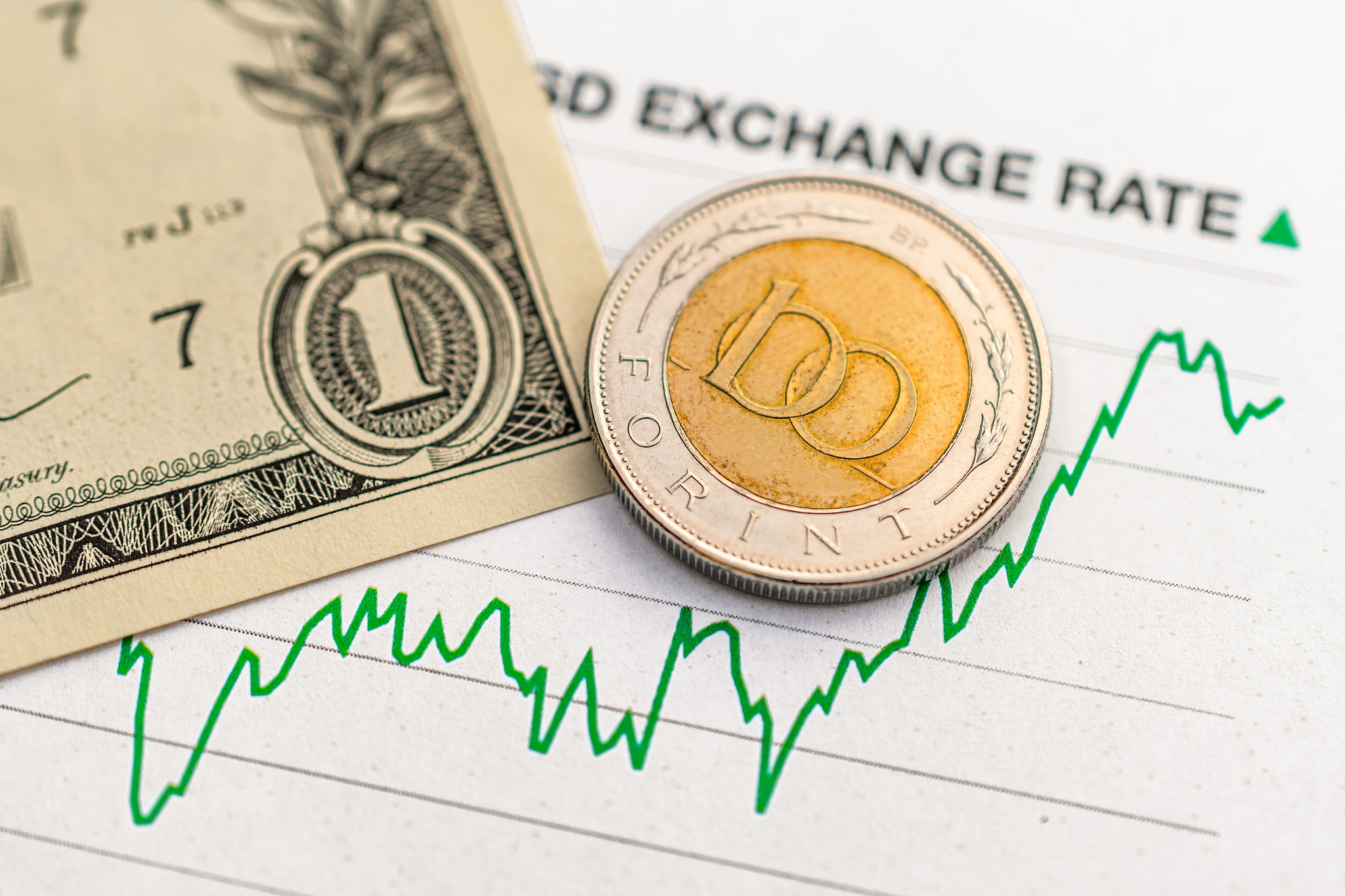 hungarian forint dollar exchange rate: hungarian forint and doll