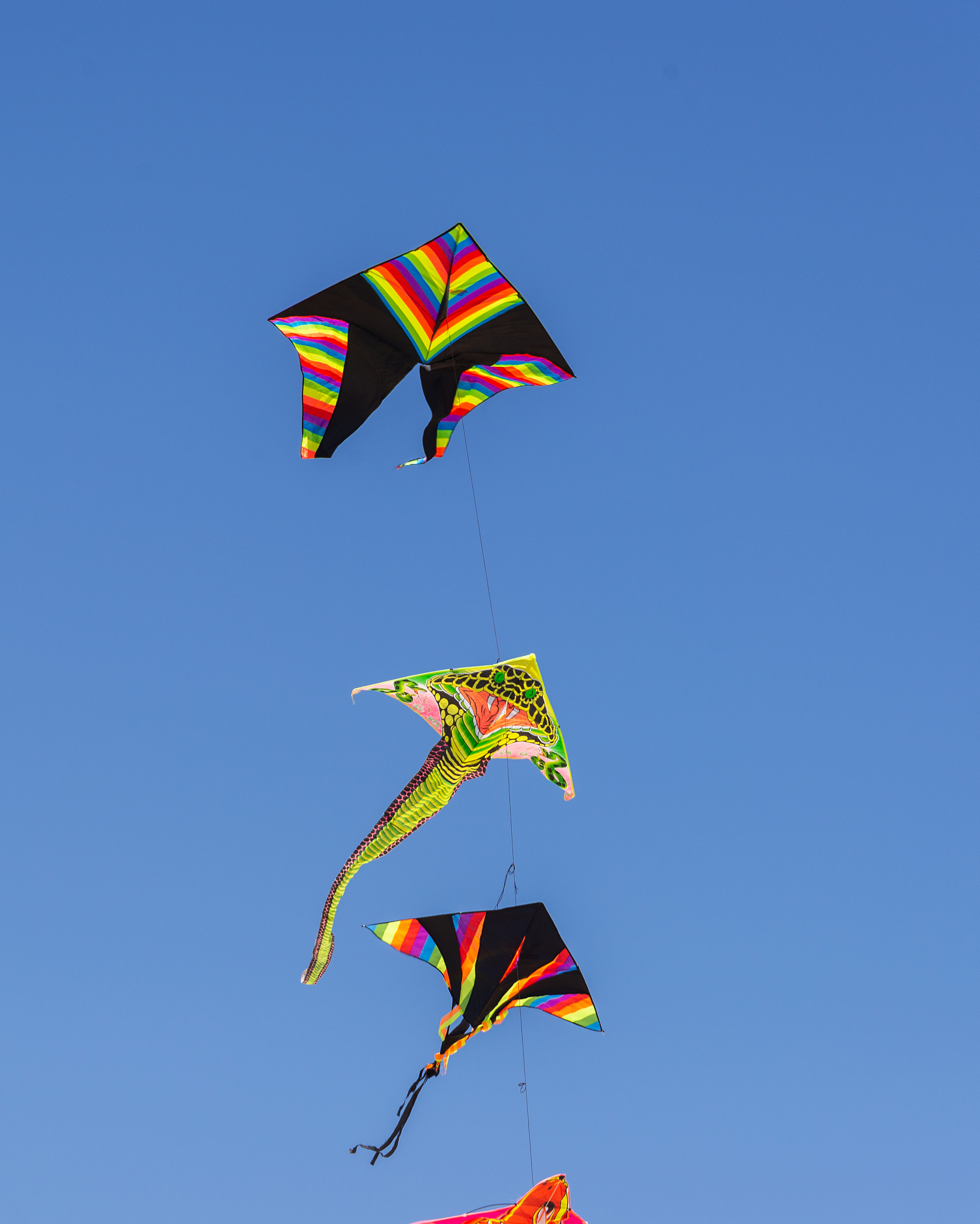 flying kites in a blu sky