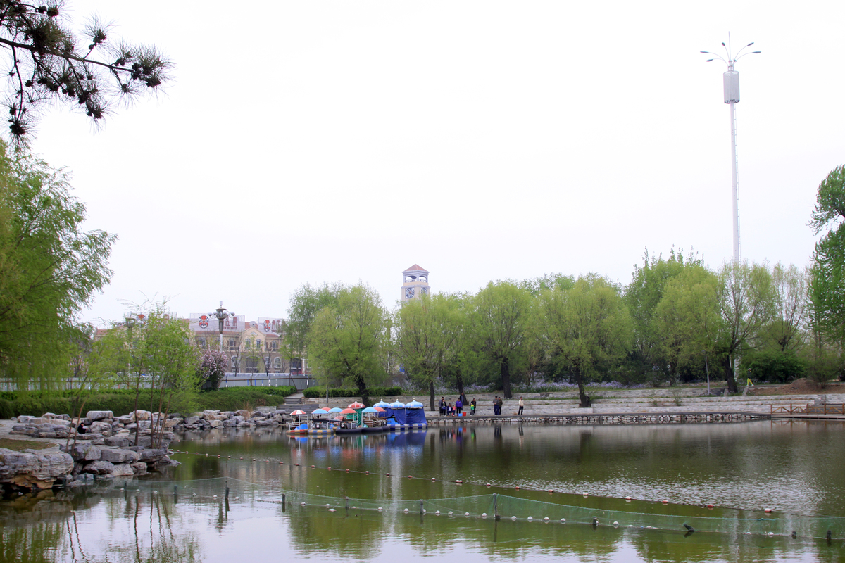 西安电子科技大学附近公园推荐 - 紫荆公园