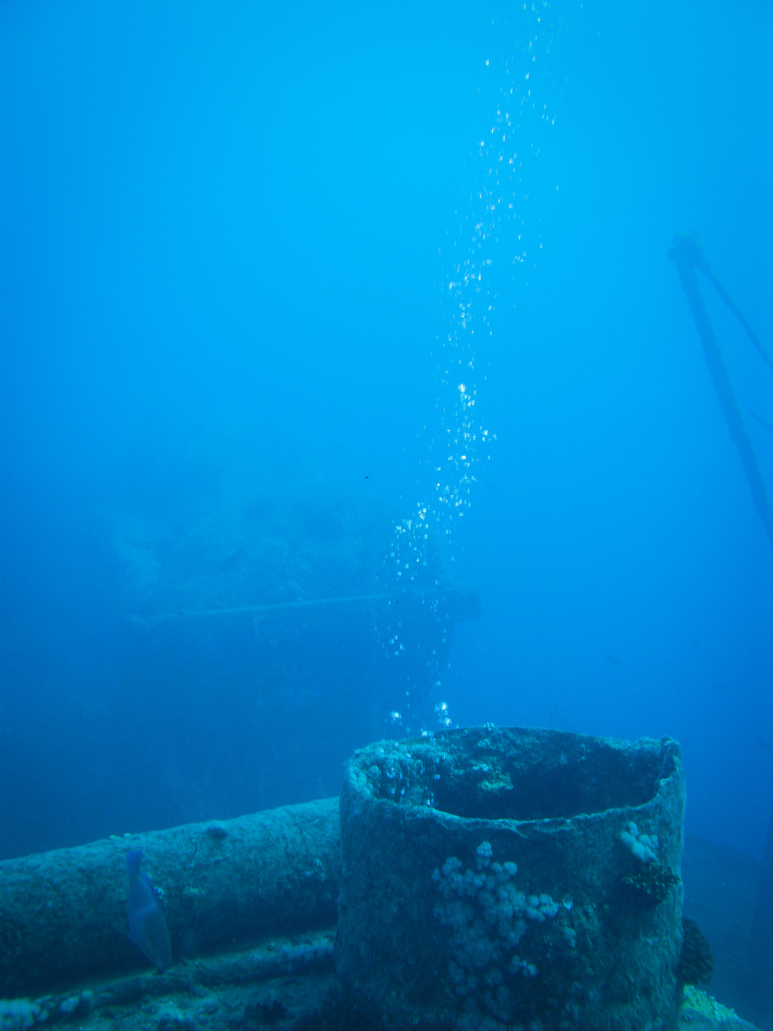 underwater scenes