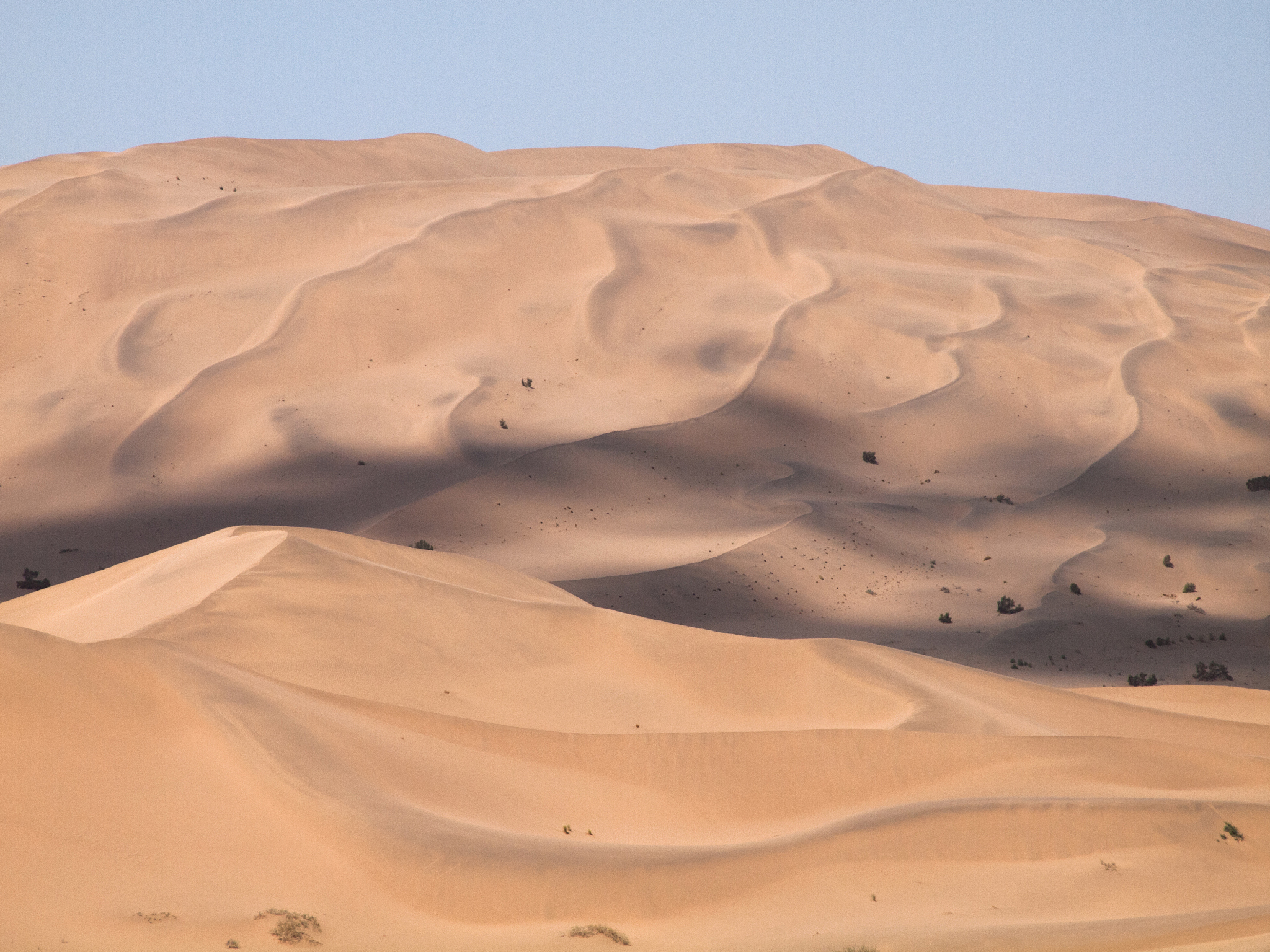 2023年甘肃什么幼师学校有前途