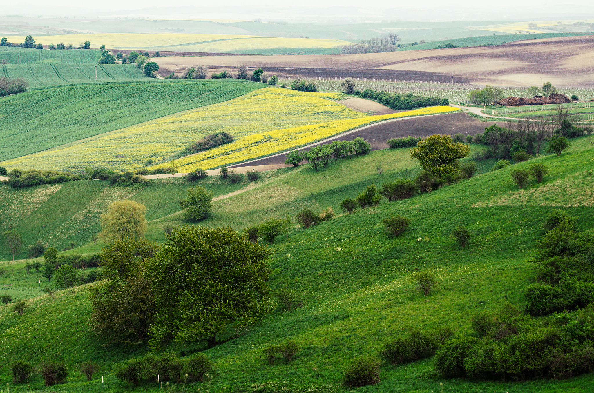 rural spring landscape