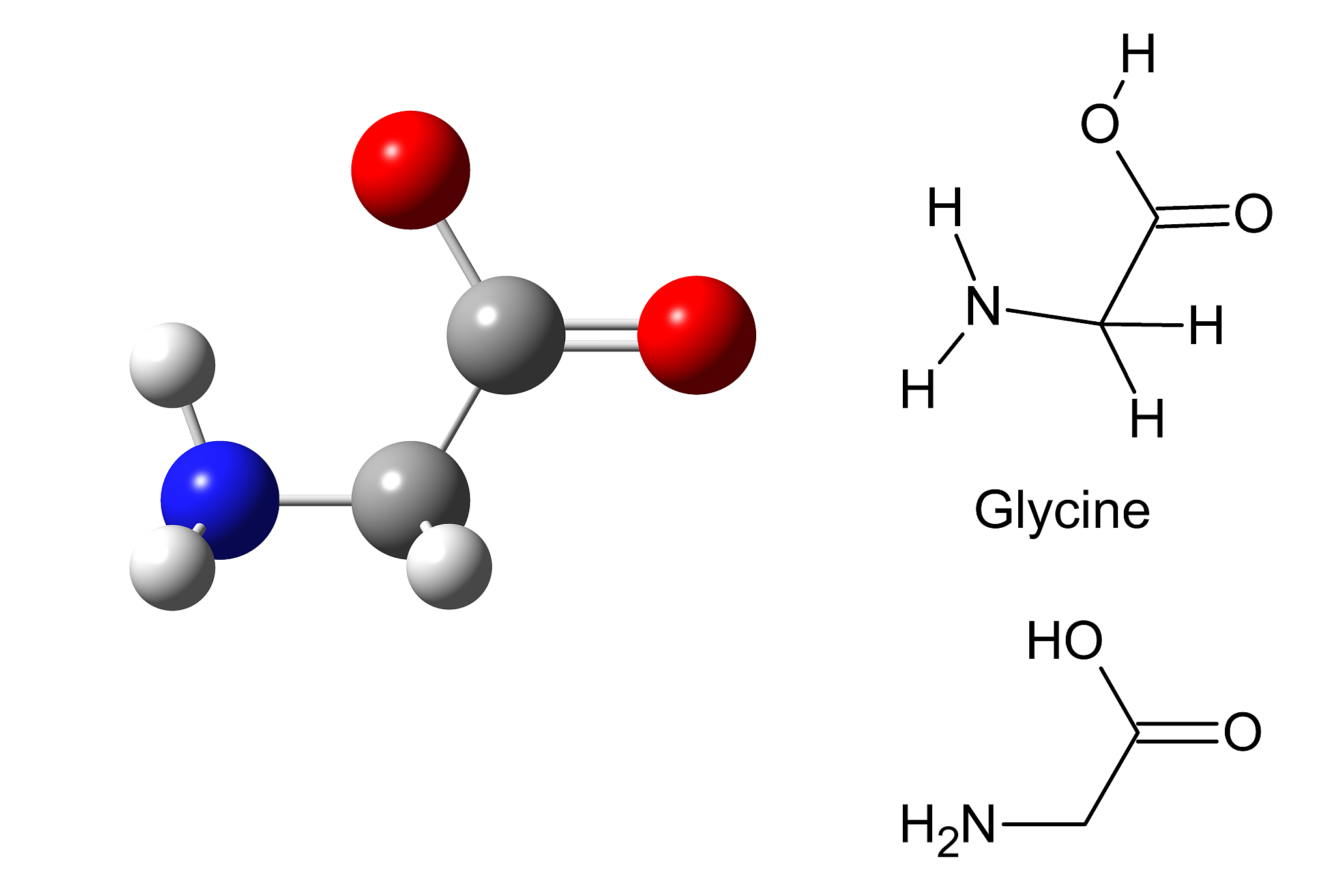 structural model of glycine molecule
