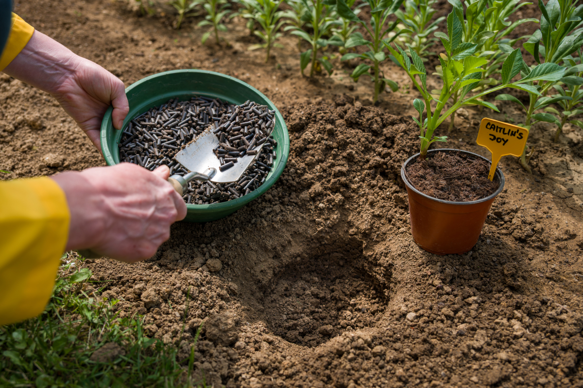 废弃茶叶杆固化土：土壤改良的绿色方案