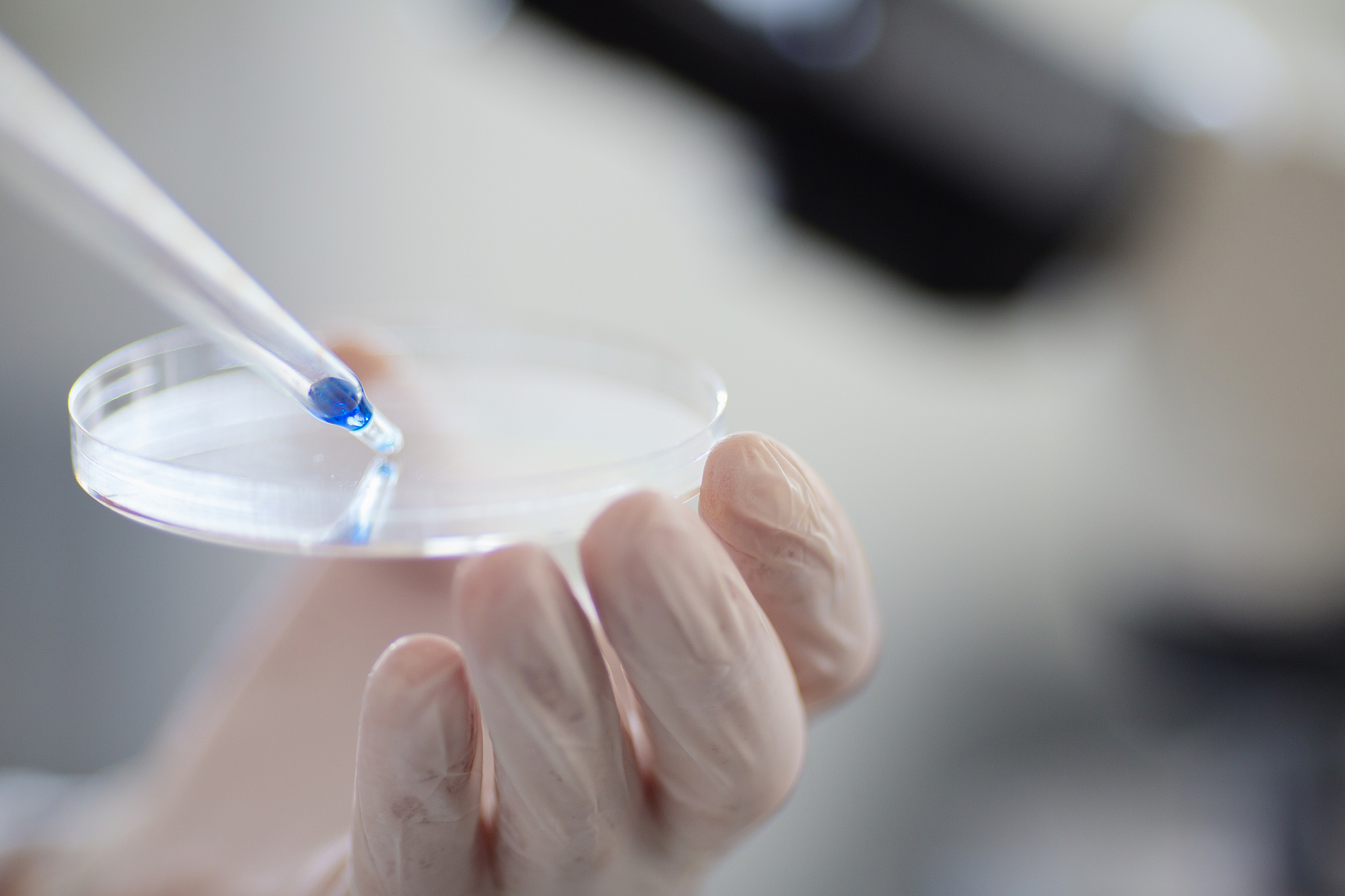 湖南科技职业学院3+2五年制大专招生简章 - 培养高素质技能型人才