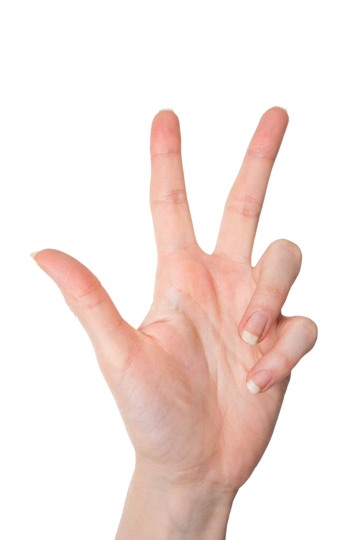 isolated woman hand showing number three isolated on white