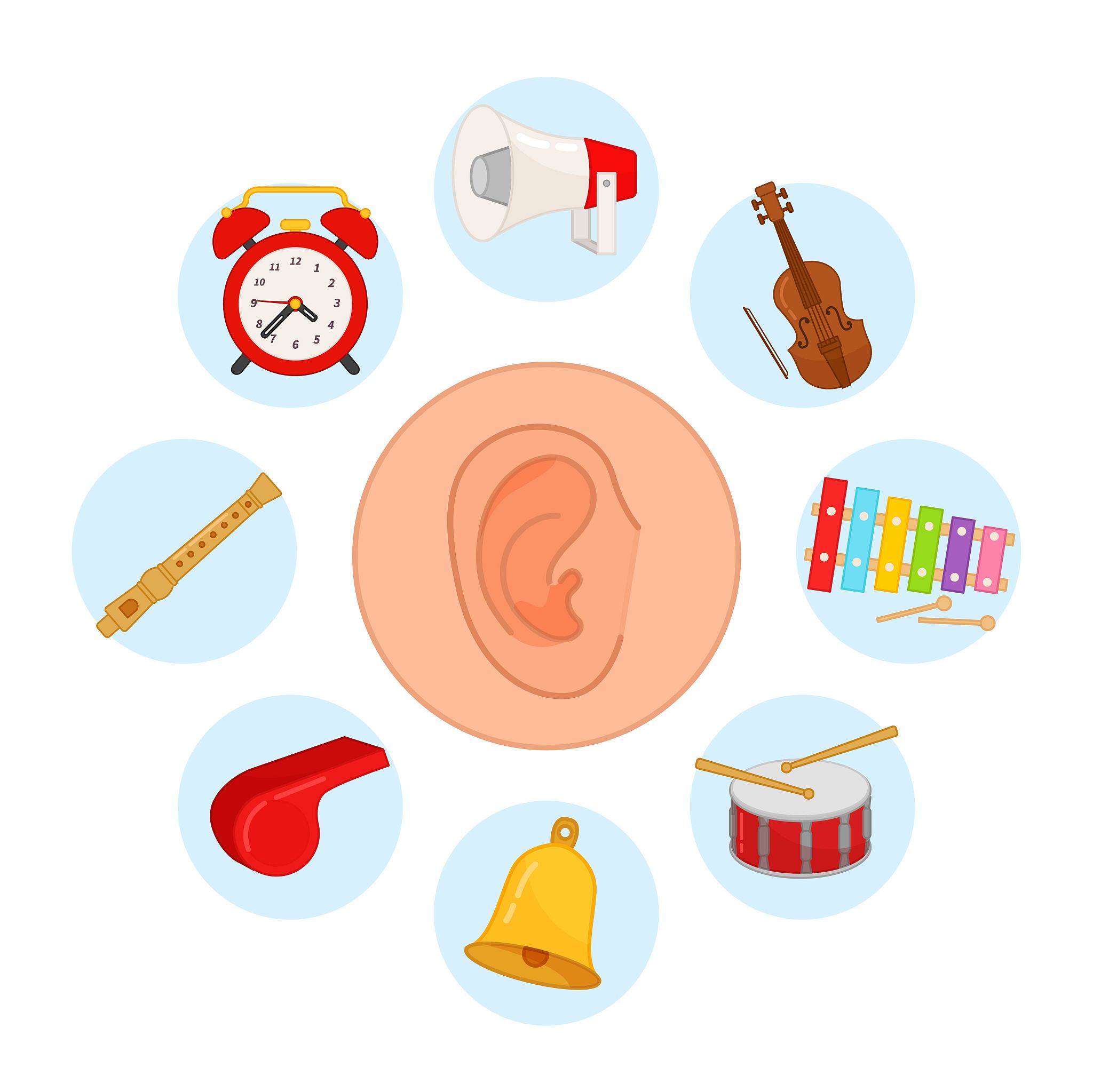 视觉听觉嗅觉味觉触觉属于什么描写