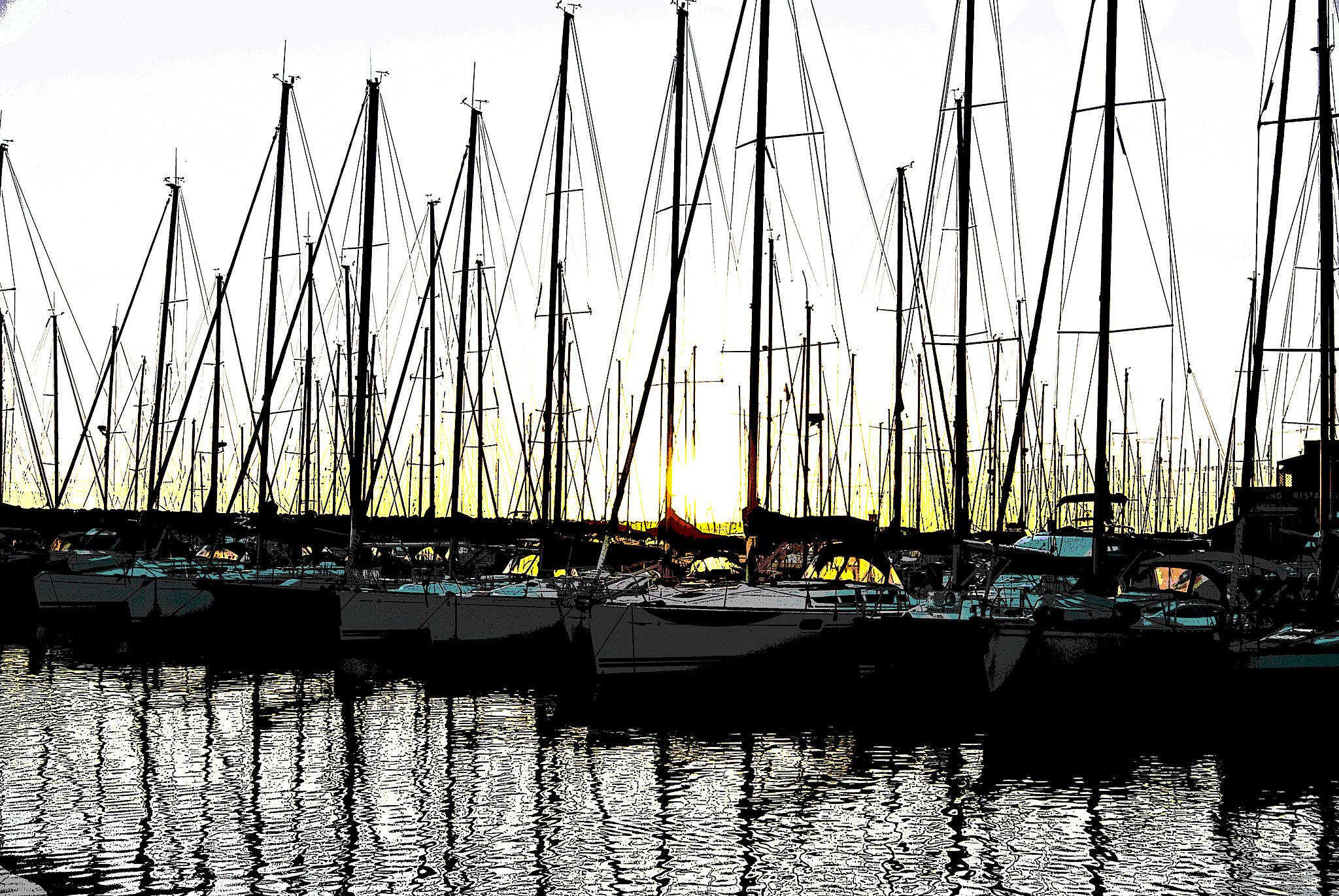 解释数字图像相关分析法