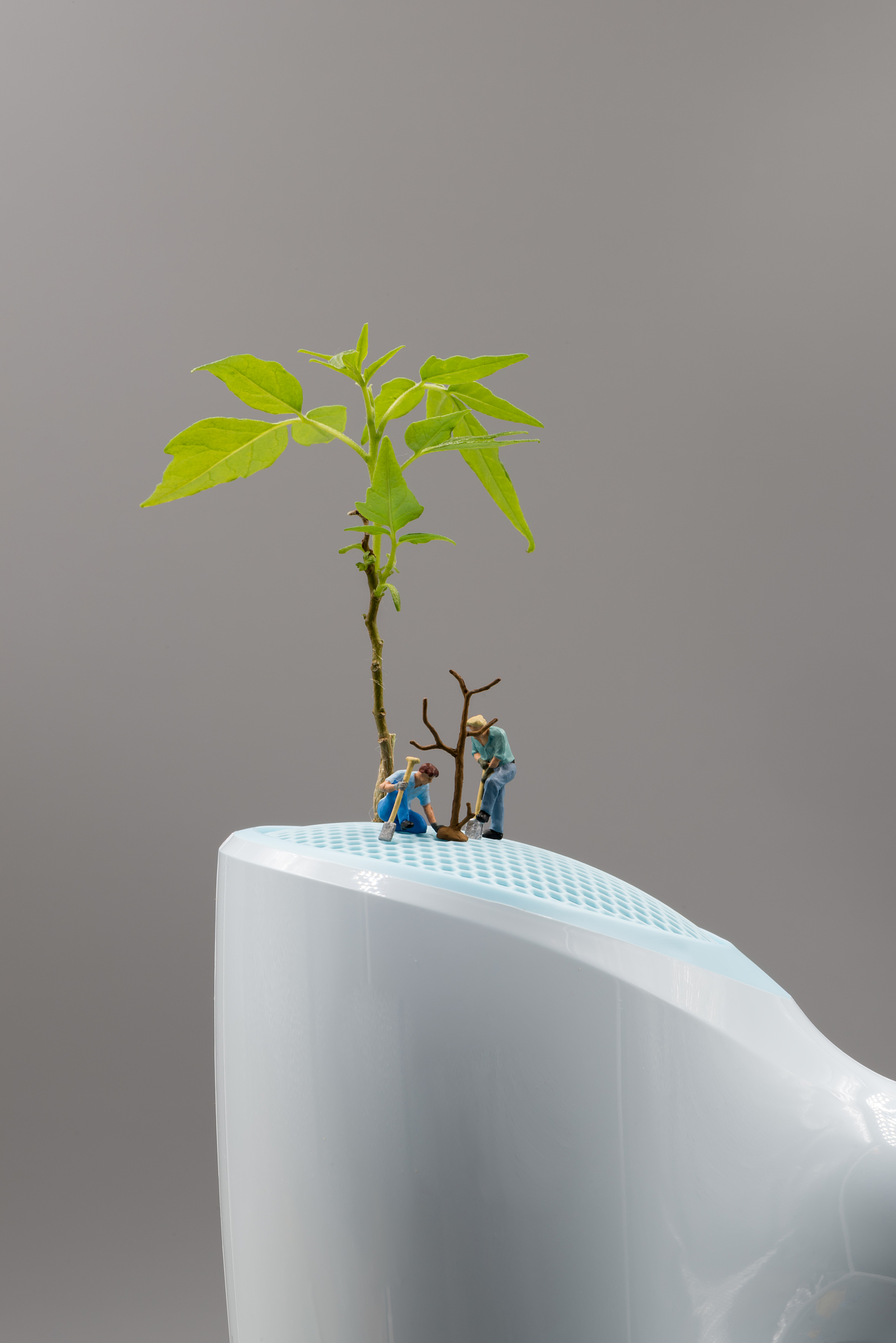 题目描述植树节快要到了学校要组织志愿者去给树苗浇水。 有一排树苗编号依次是 012 。 现有 n 个志愿者去给树苗浇水第 i 个志愿者选定了一个区间 xy表示第 i个志愿者 将xy这一区间内的每一棵树都浇一次水。 如某个志愿者选择的浇水区间为 49 表示他将给编号为 456789 的树各浇水一次。 当所有的志愿者完成各自所选区间的浇水后可能有些树苗被不同的志愿者浇水多次也 可能有的树苗一次也
