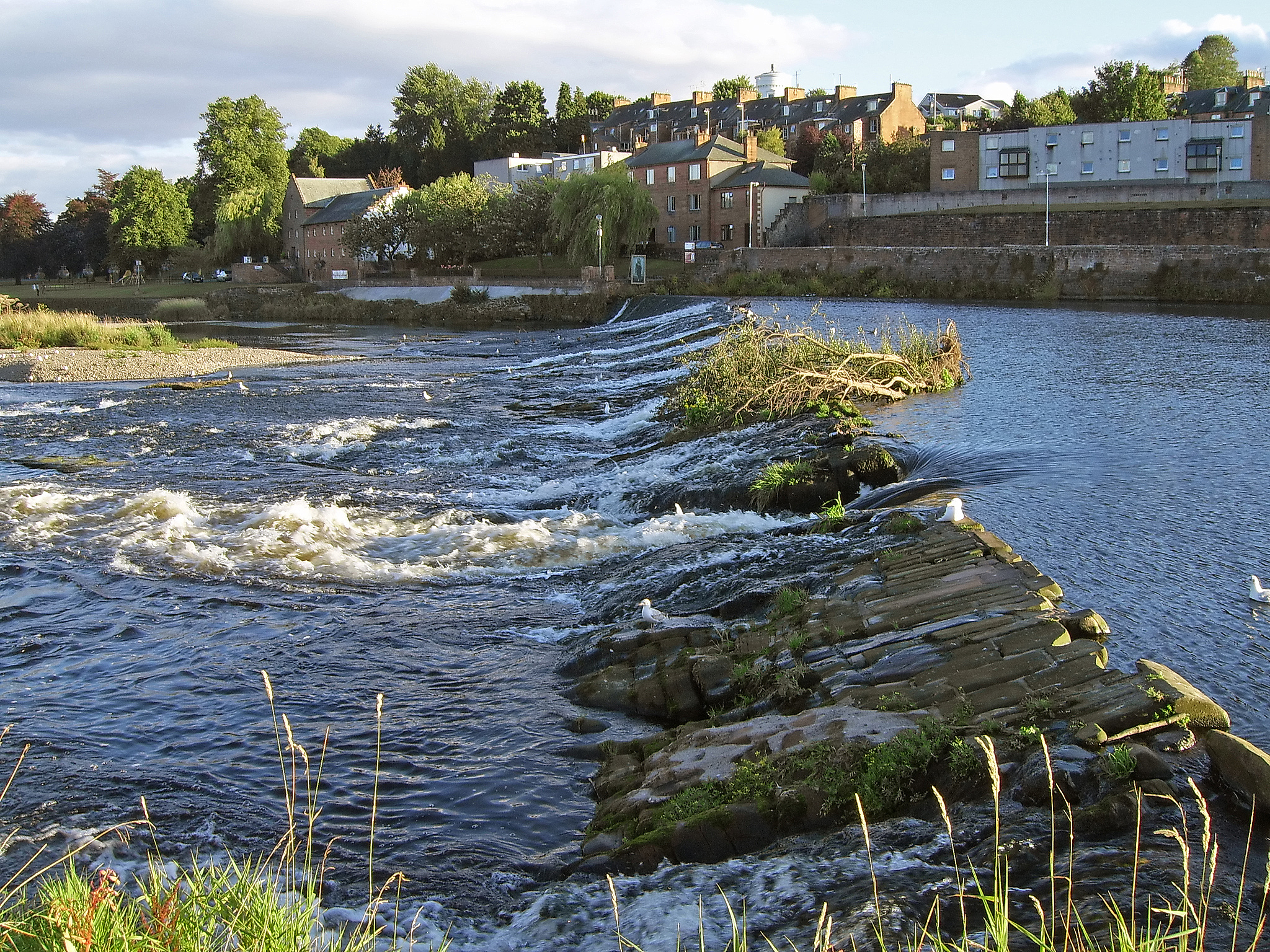 Changes in terrestrial water storage and oasis ecological security assessment in the Tarim River Basin翻译英文题目