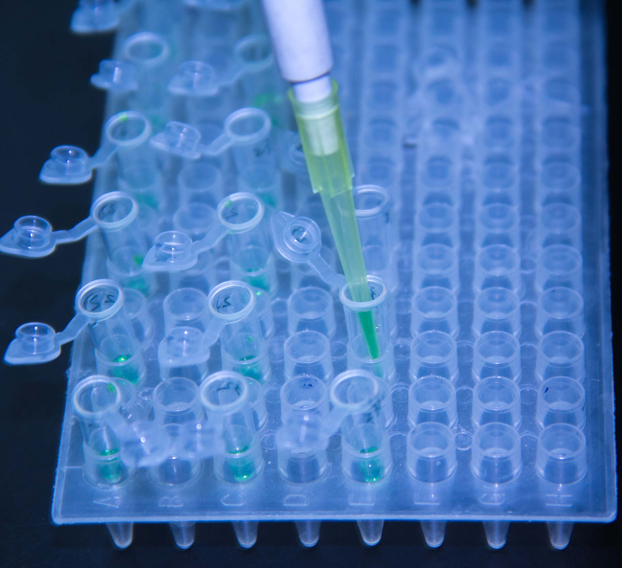 96孔板容量:每个孔多少ml? - 实验室必备工具 96孔板容量:每个孔多少ml? - 实验室必备工具