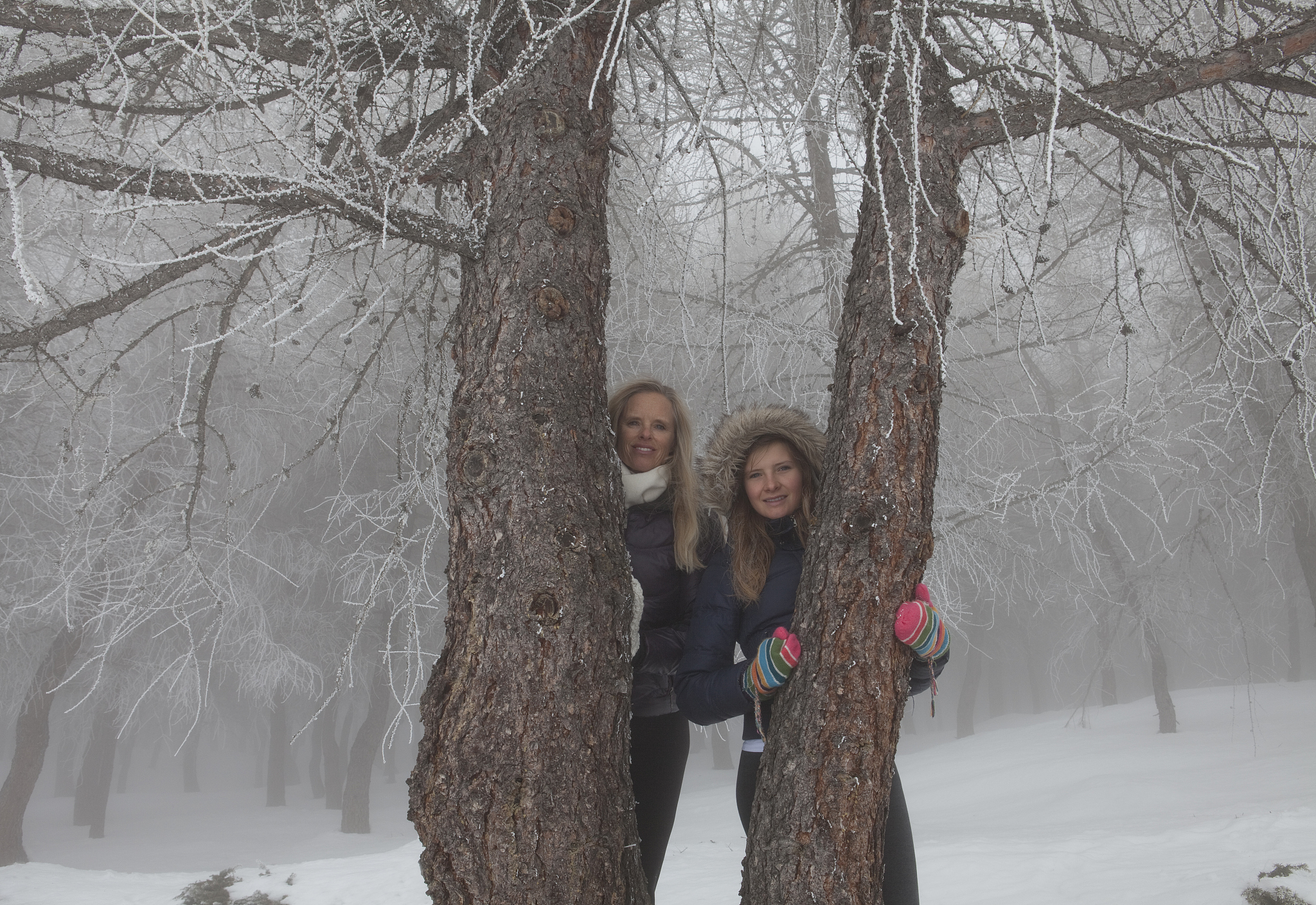 Chinese Peer-to-Peer Lending Platforms: Jintongyidai and Jintongerdai