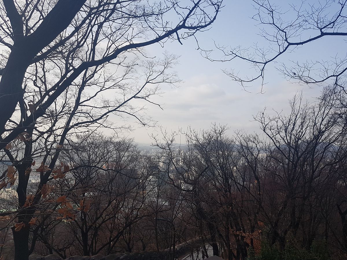 小说：文学的艺术形式，讲述故事，展现人生