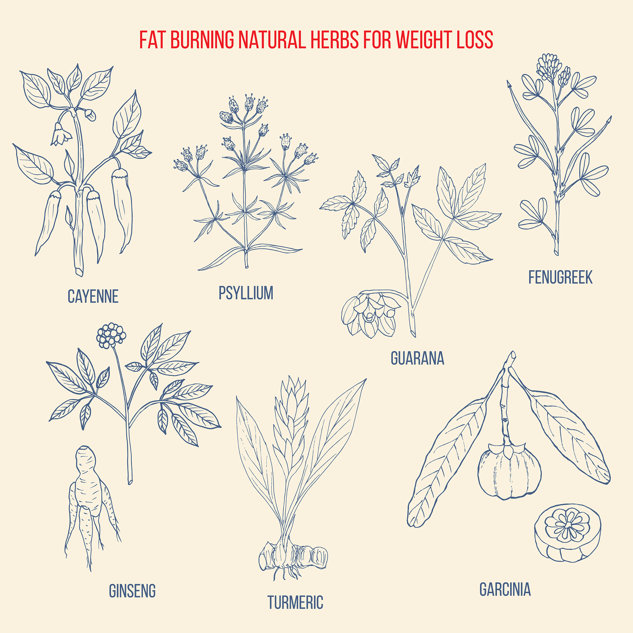 Denosumab: The Optimal Choice for Bone Health and Osteoporosis Treatment