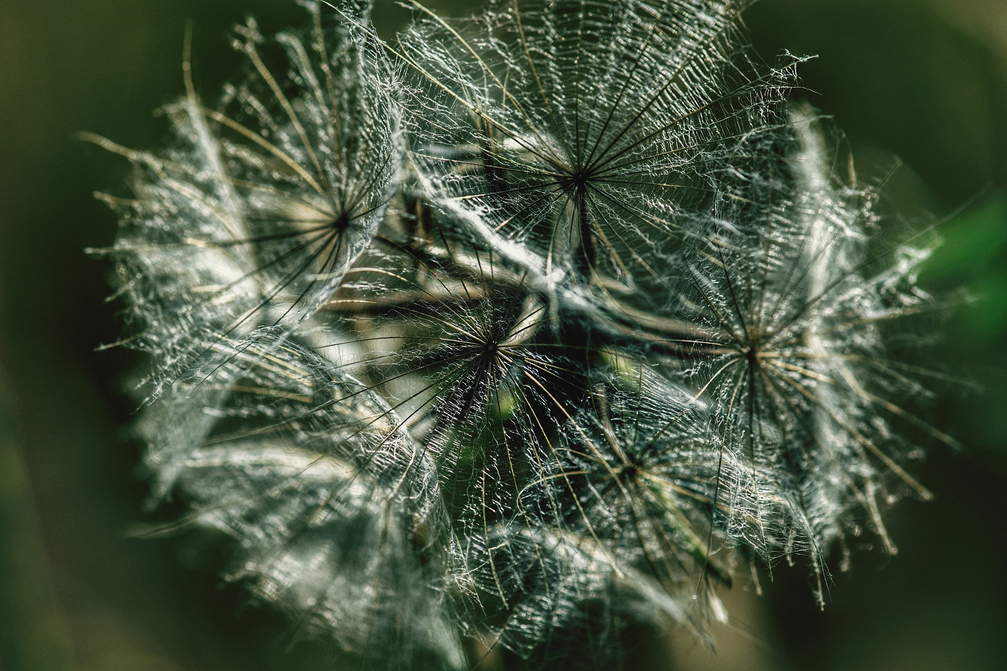 宿州职业技术学院种子生产与经营专业就业前景分析