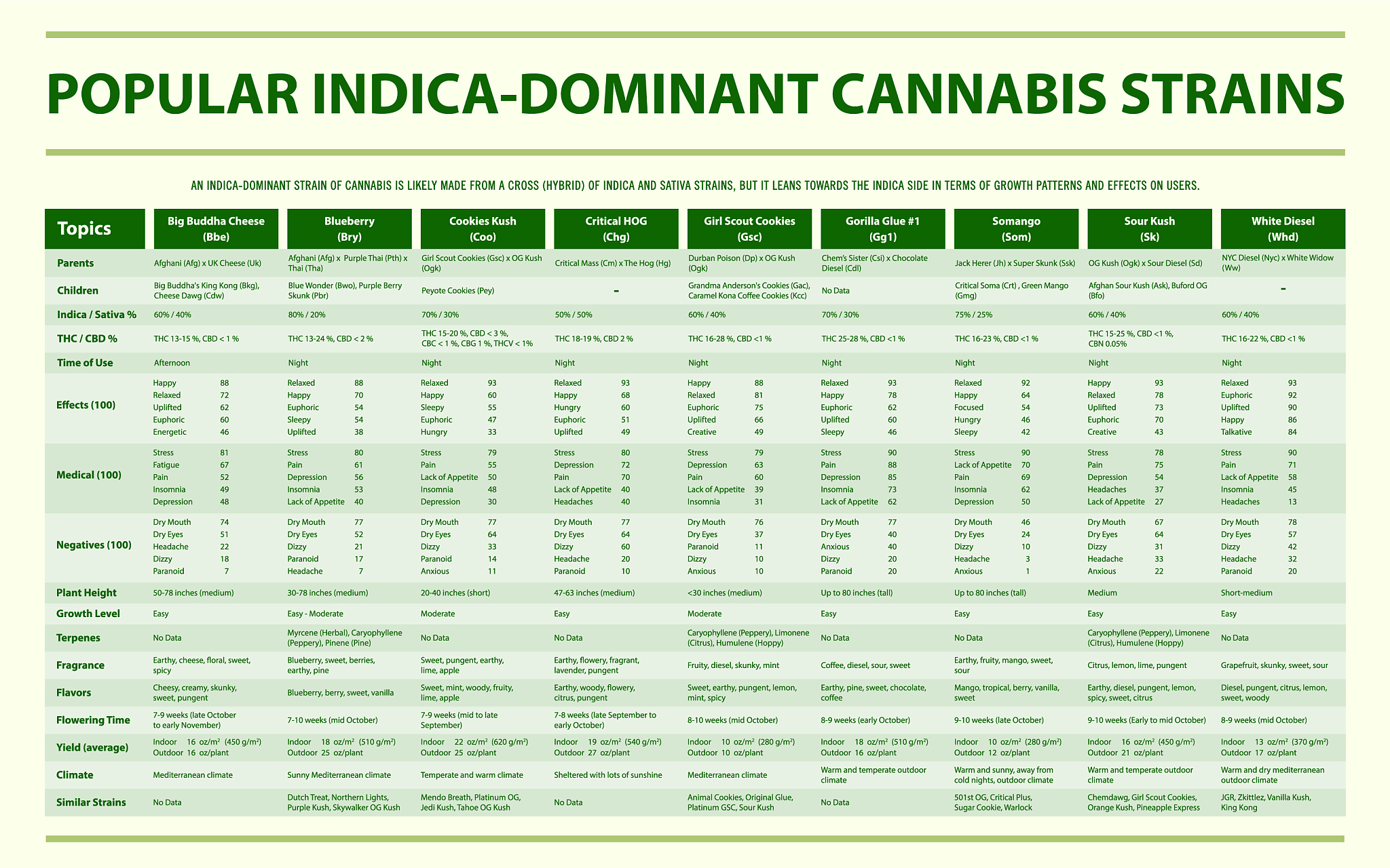 精力,父母,比较,受体,调味品,占贾,植物,图像特效,炎症,创造力