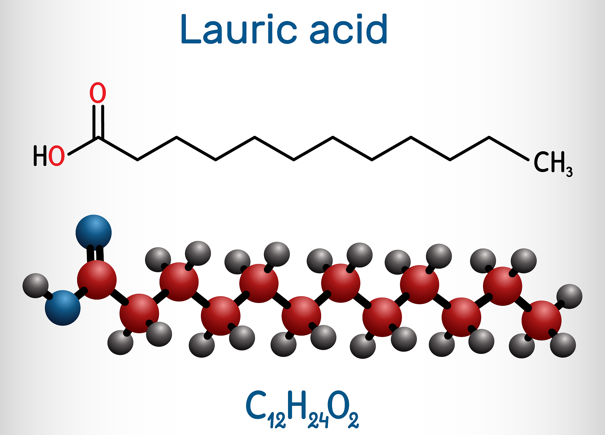 组成磷脂的元素