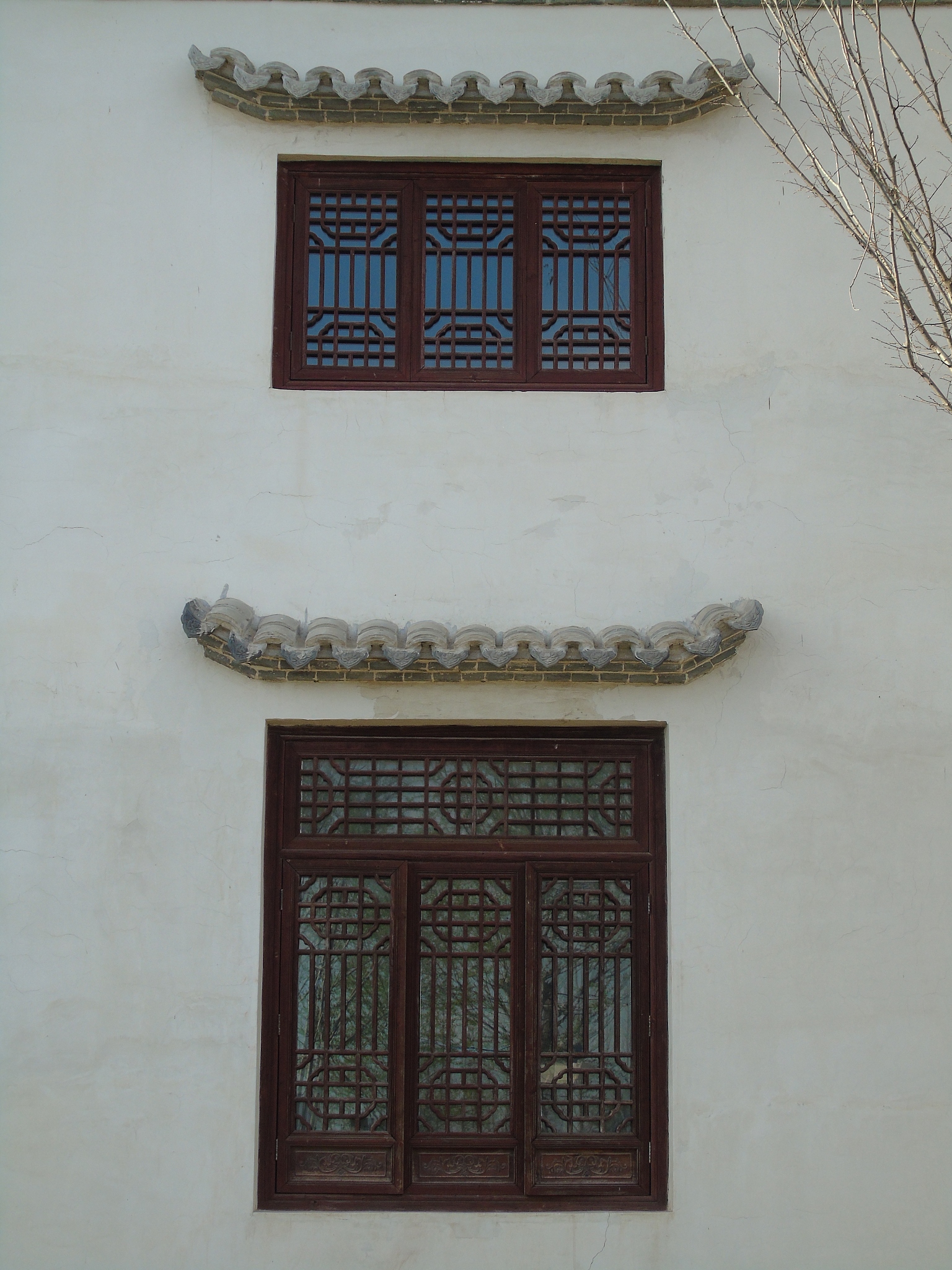 青岛园林学校教育体系：本科、研究生、实习与就业指导