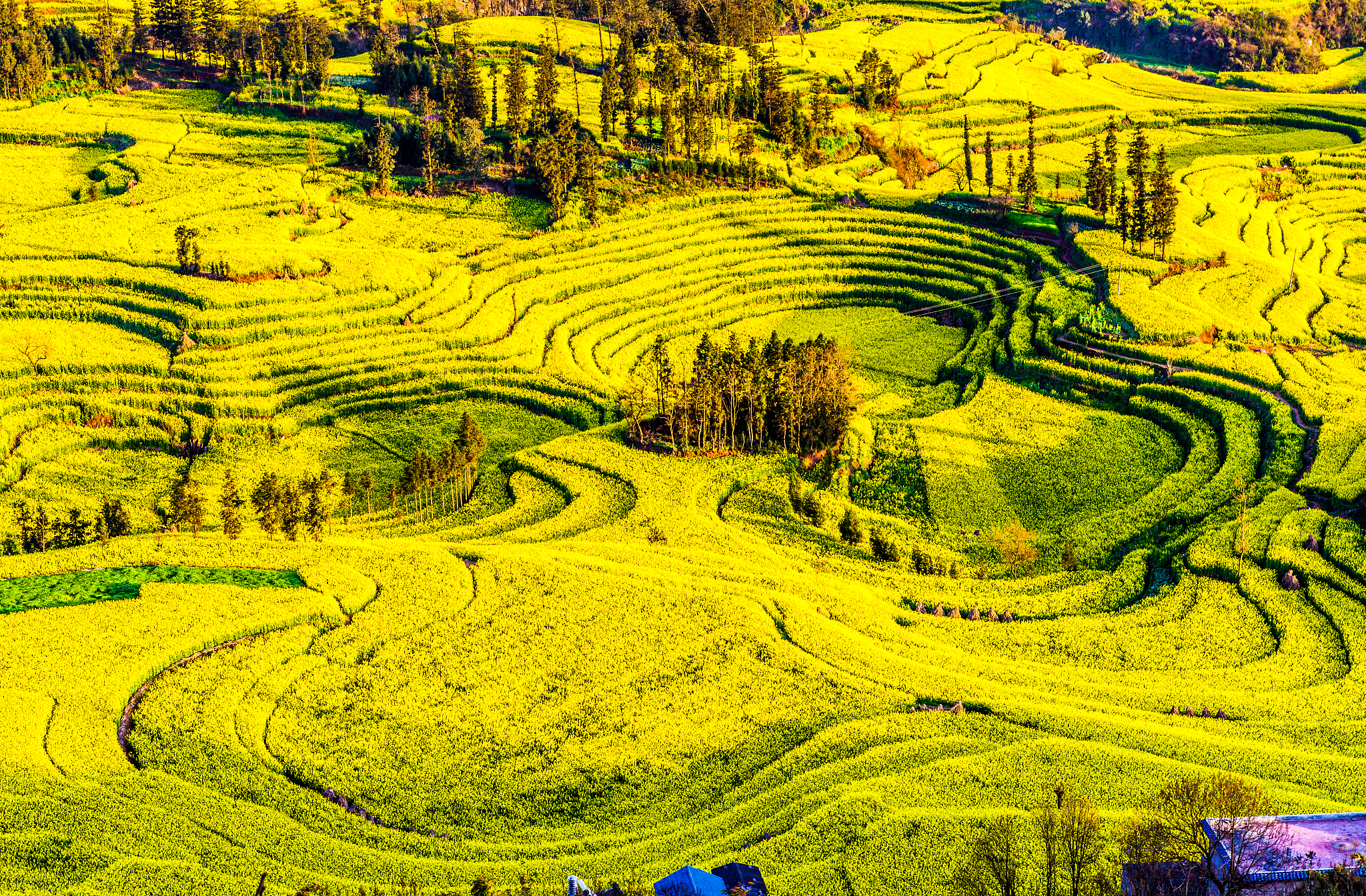 云南经贸外事职业学院2019年工程测量专业招生简介