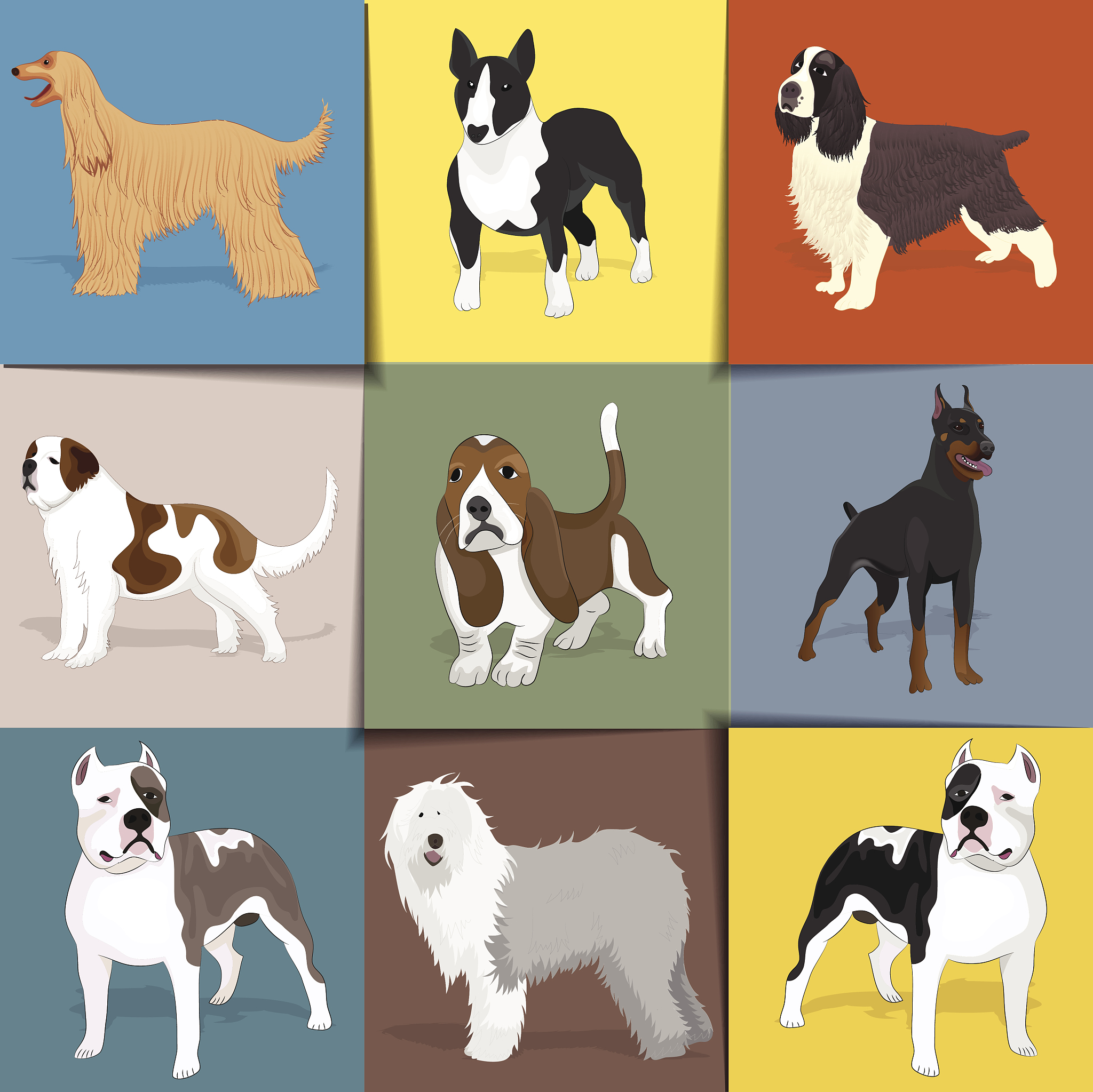 Why Dogs Are My Favorite Animal