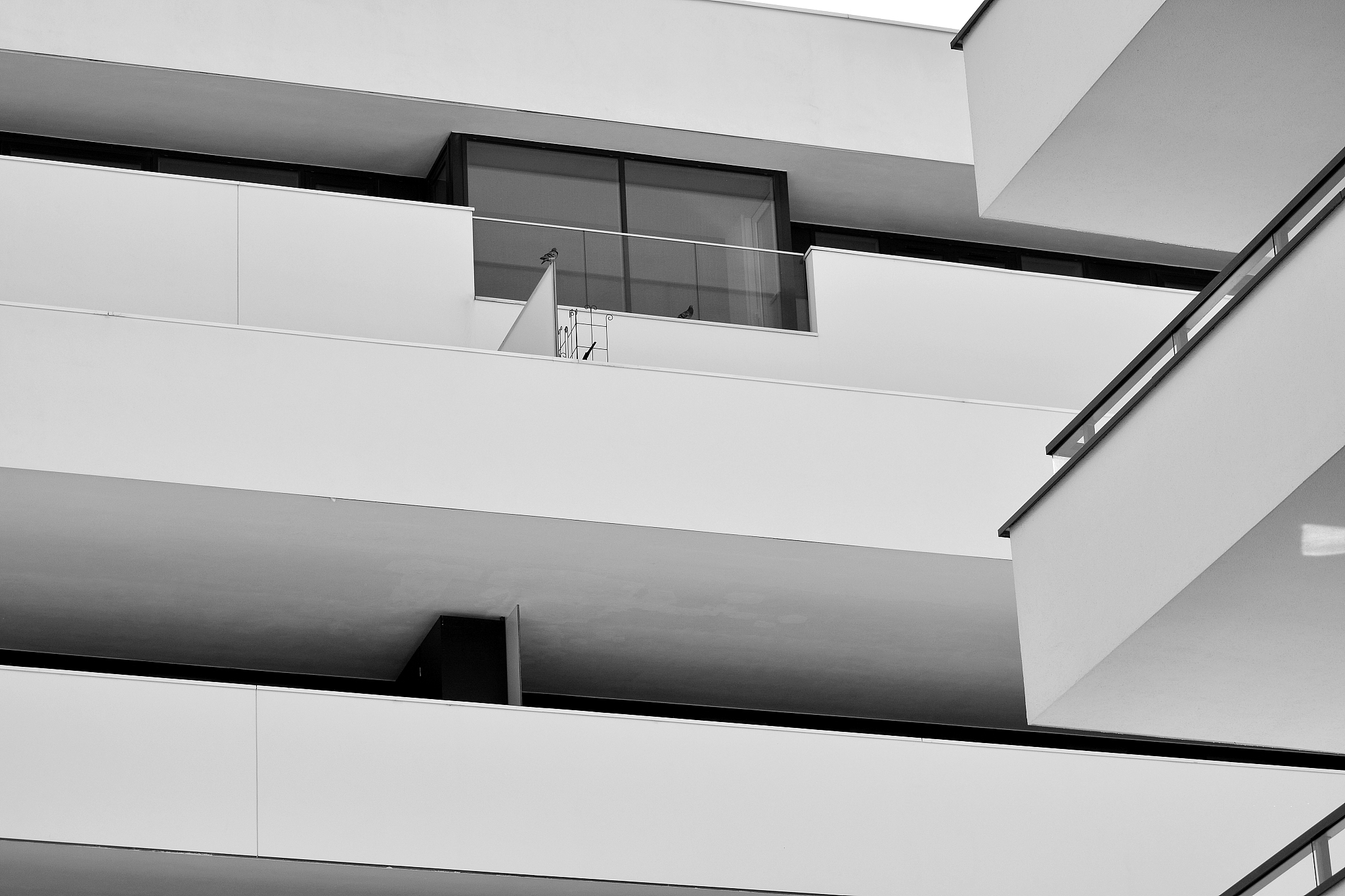 变刚度层合板振动研究：结构阻尼的影响