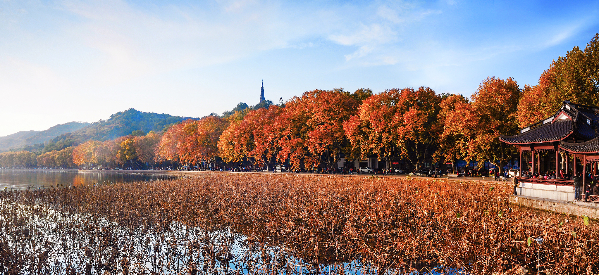 杭州官宣明天入秋！20条微博体评论带你感受秋意