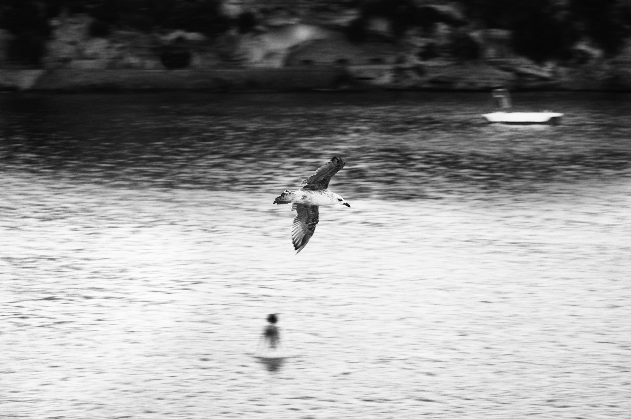 庄子鲲鹏寓言：探寻人生真谛与价值