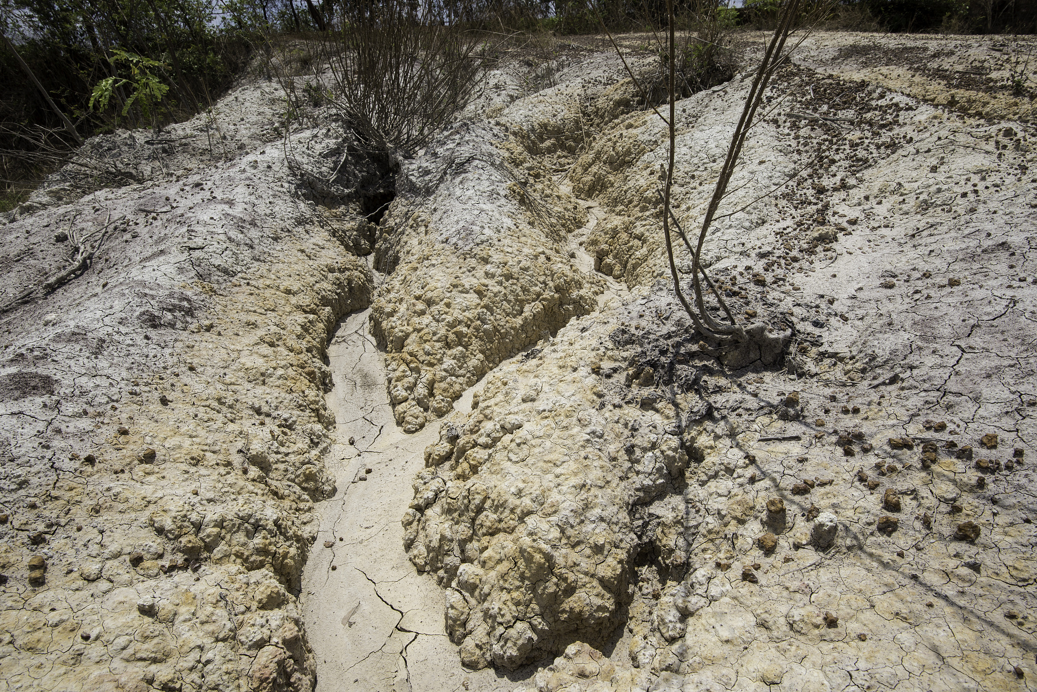 倒春寒发生时期的强度 翻译