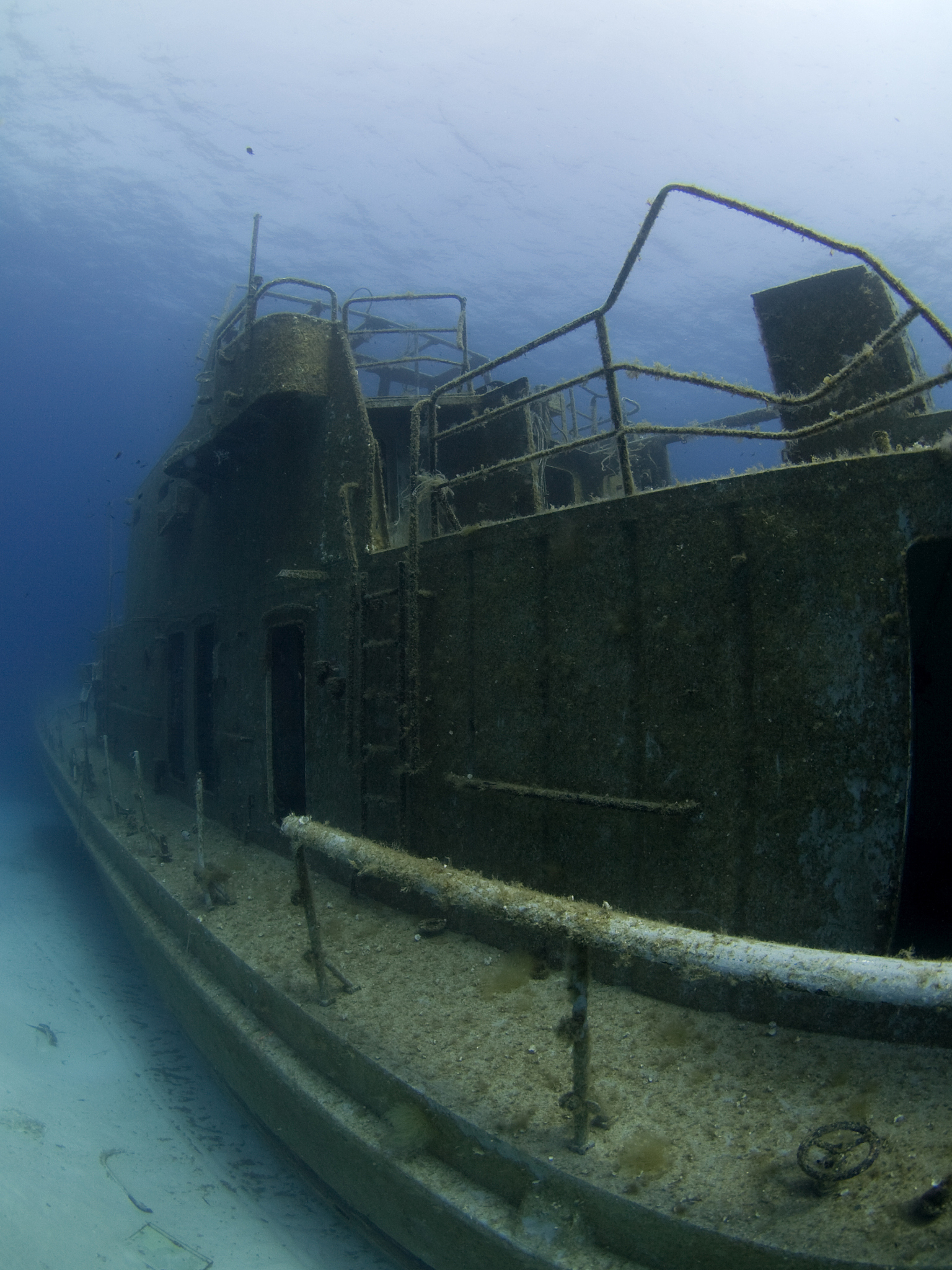 p31 shipwreck in malta