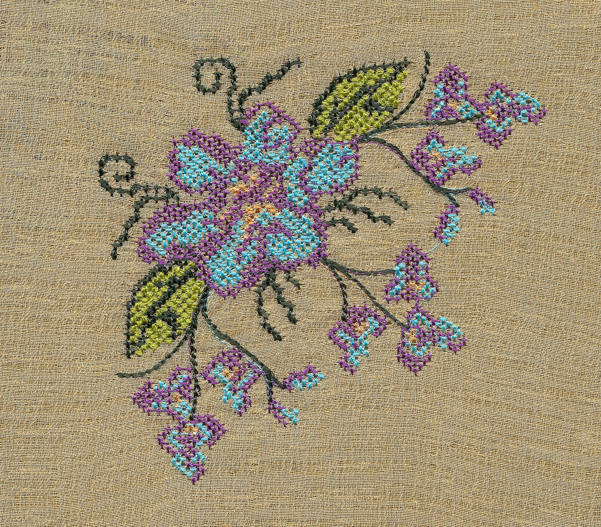 元胞自动机应用指南：模拟复杂现象的步骤