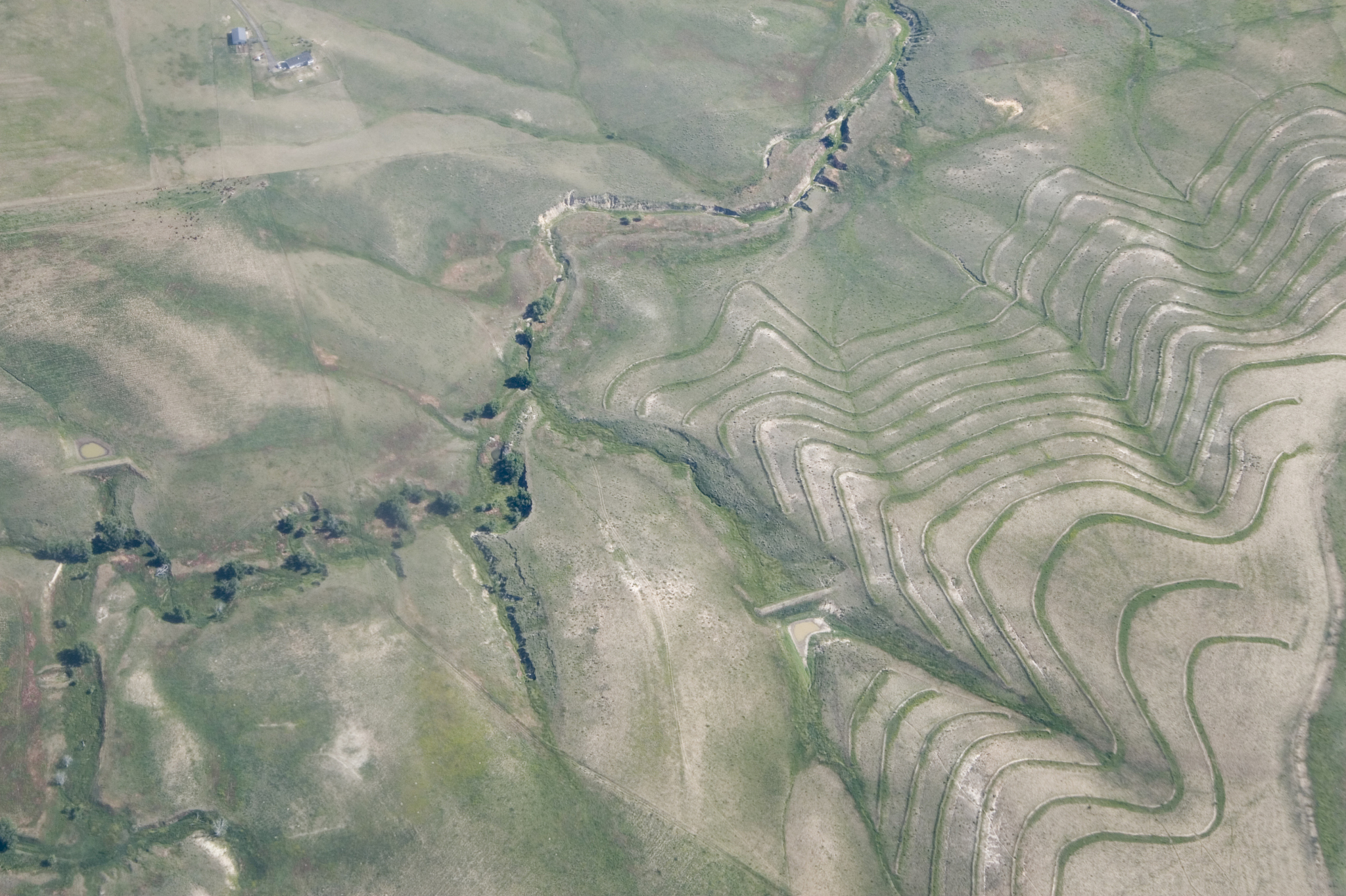 landscape from above