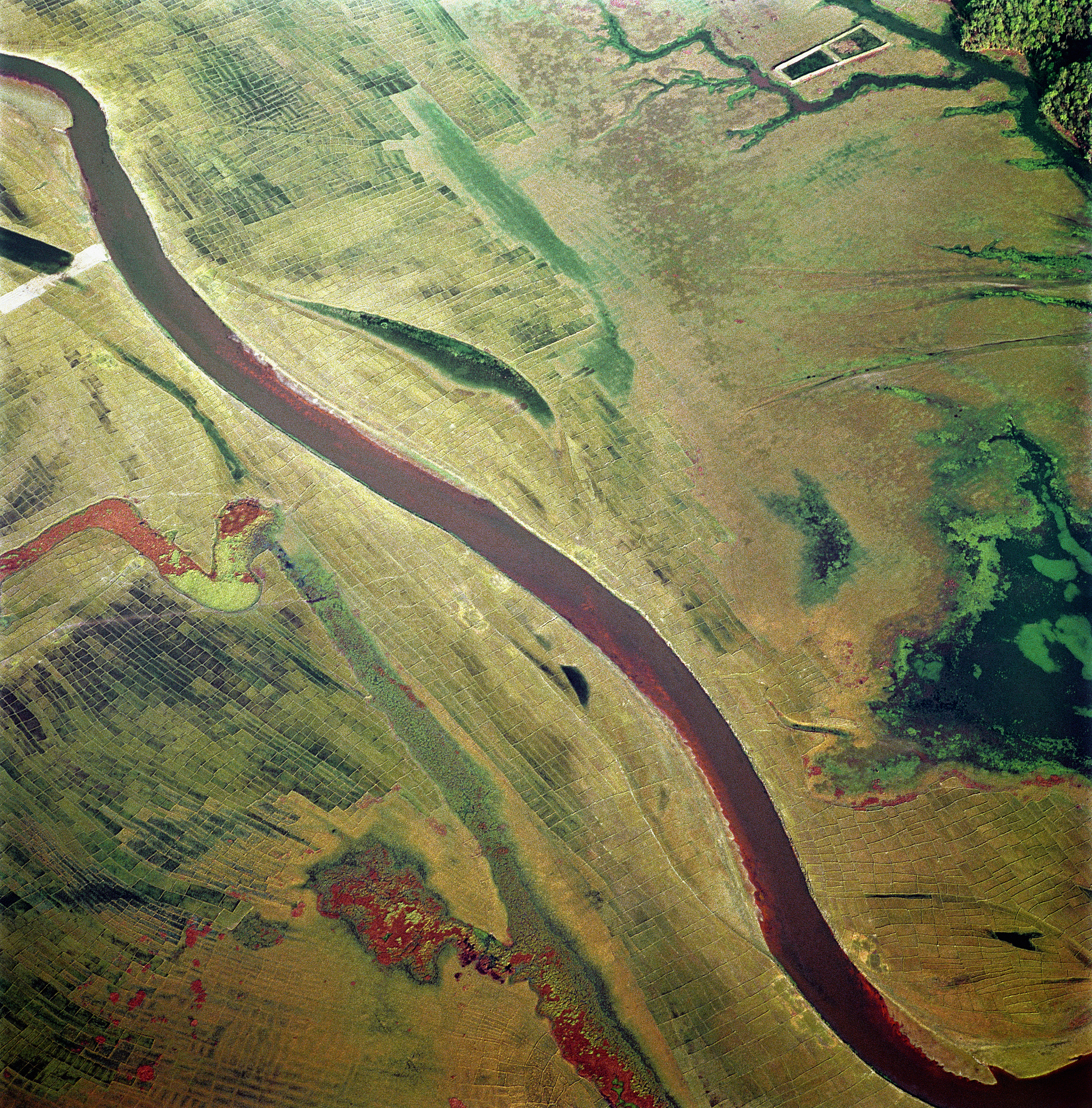 aerial view of a rural area